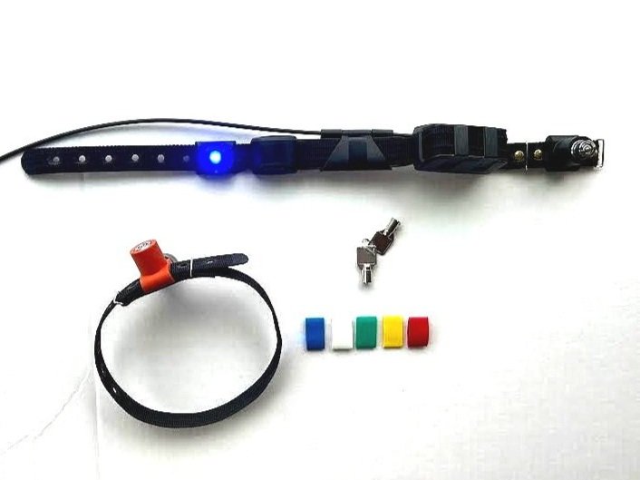 Switch%2BCollar%2Bw_%2Bkey%252C%2Bcap%252C%2Bflasher%2B-%2BRound.jpg