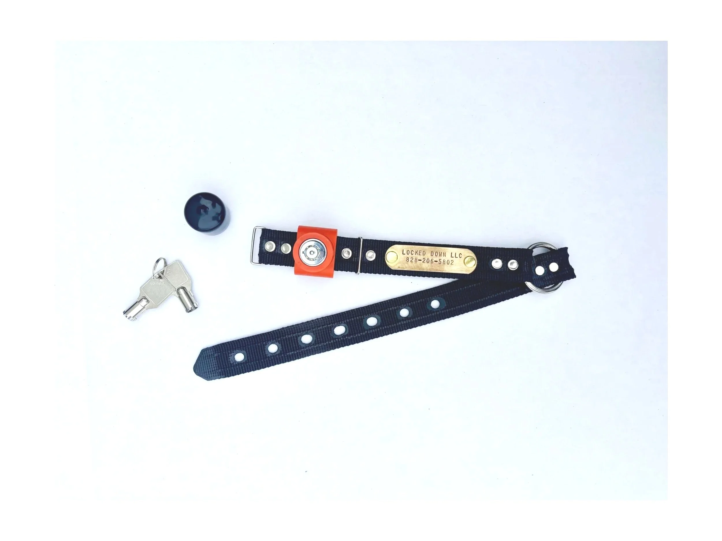 Locked Down Leash Collar