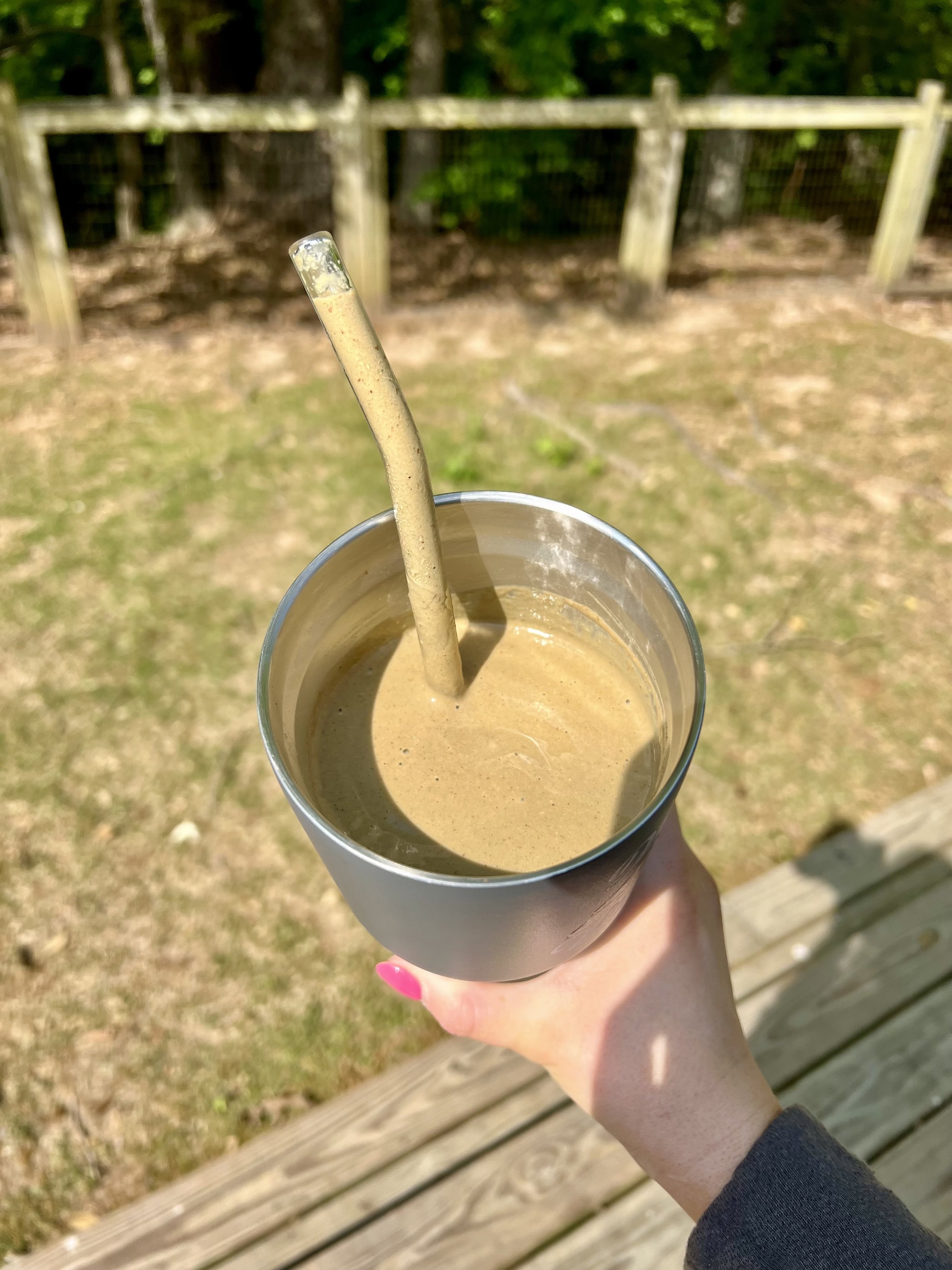 Chocolate Frosty Protein Shake
