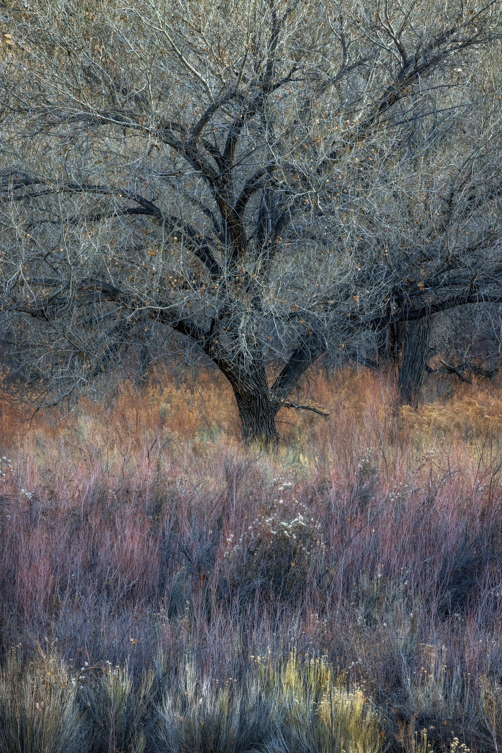 Discovering You
Capitol Reef, UT 2025