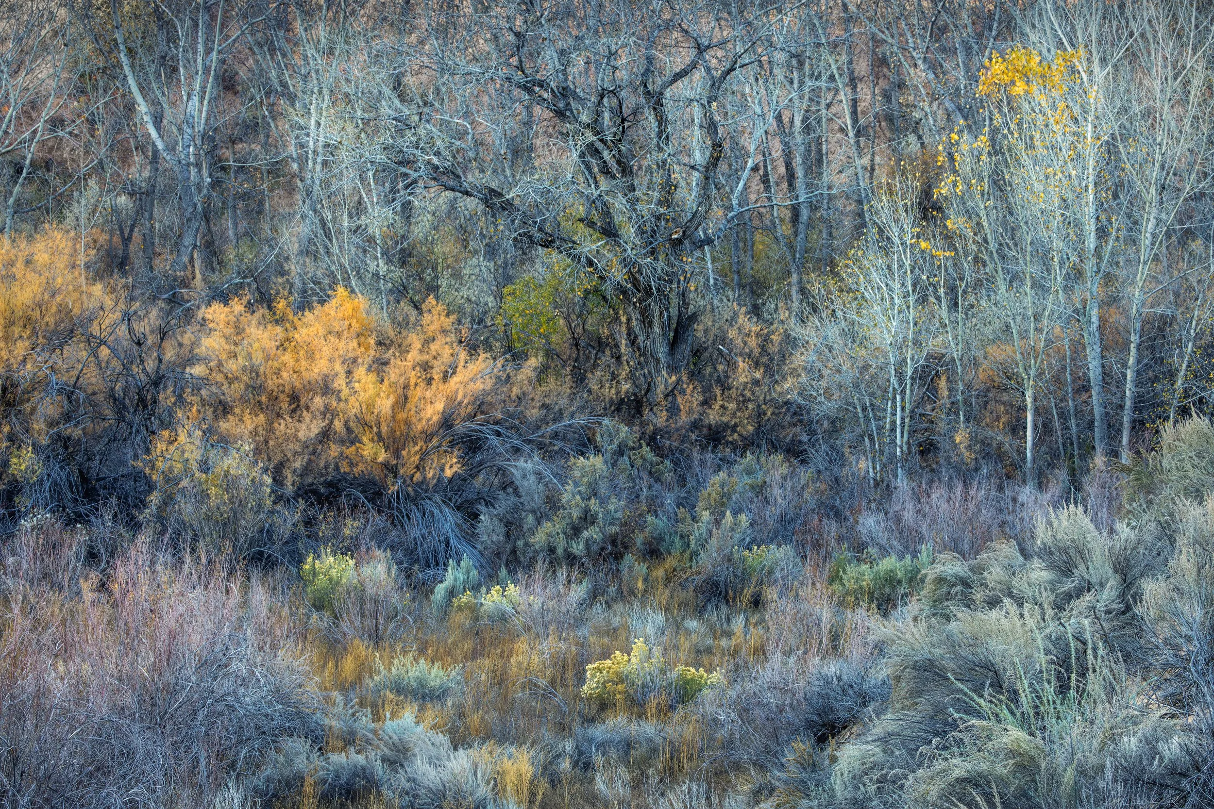 A Secret Place
Escalante, UT 2025