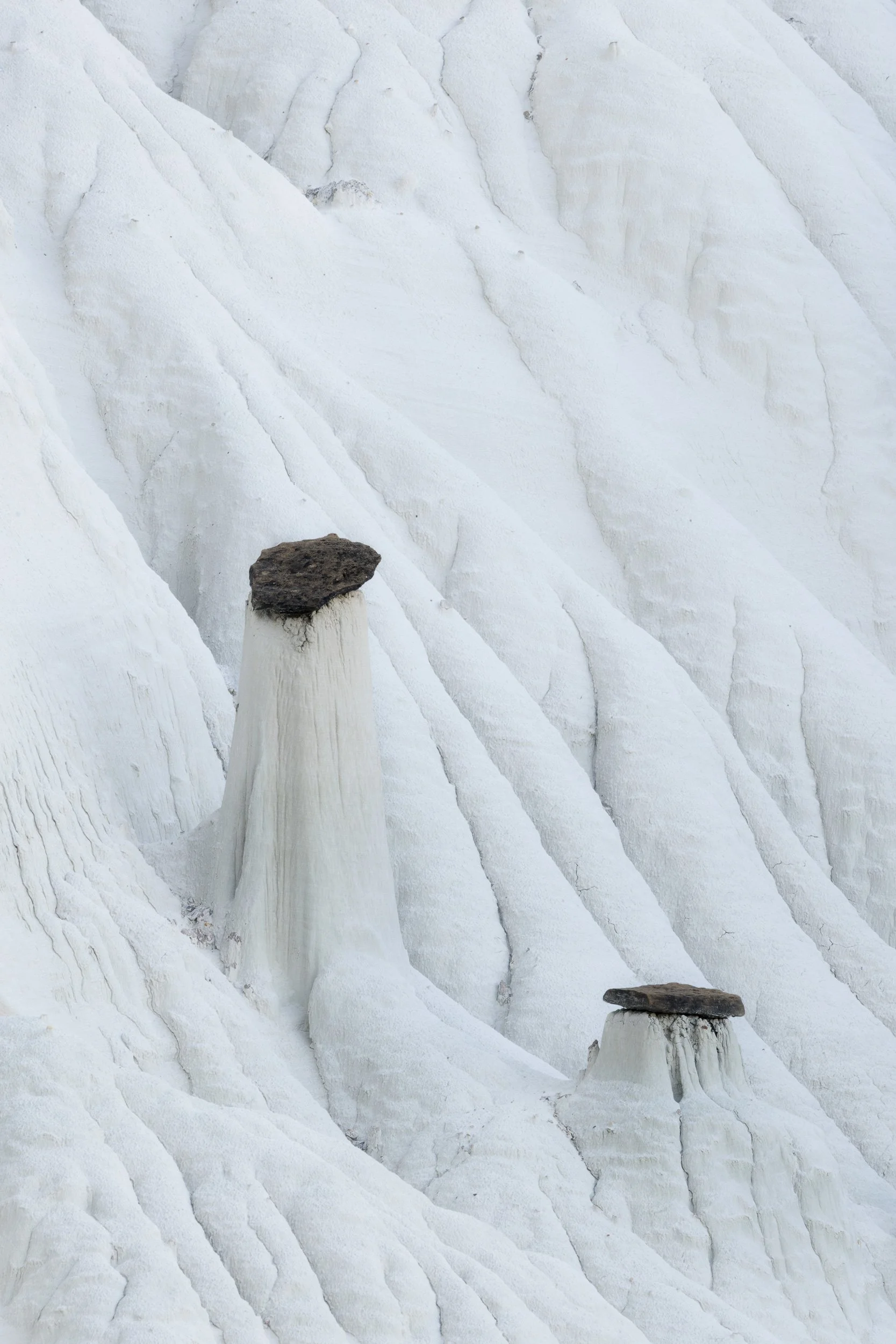 Black on White
Escalante, UT 2025