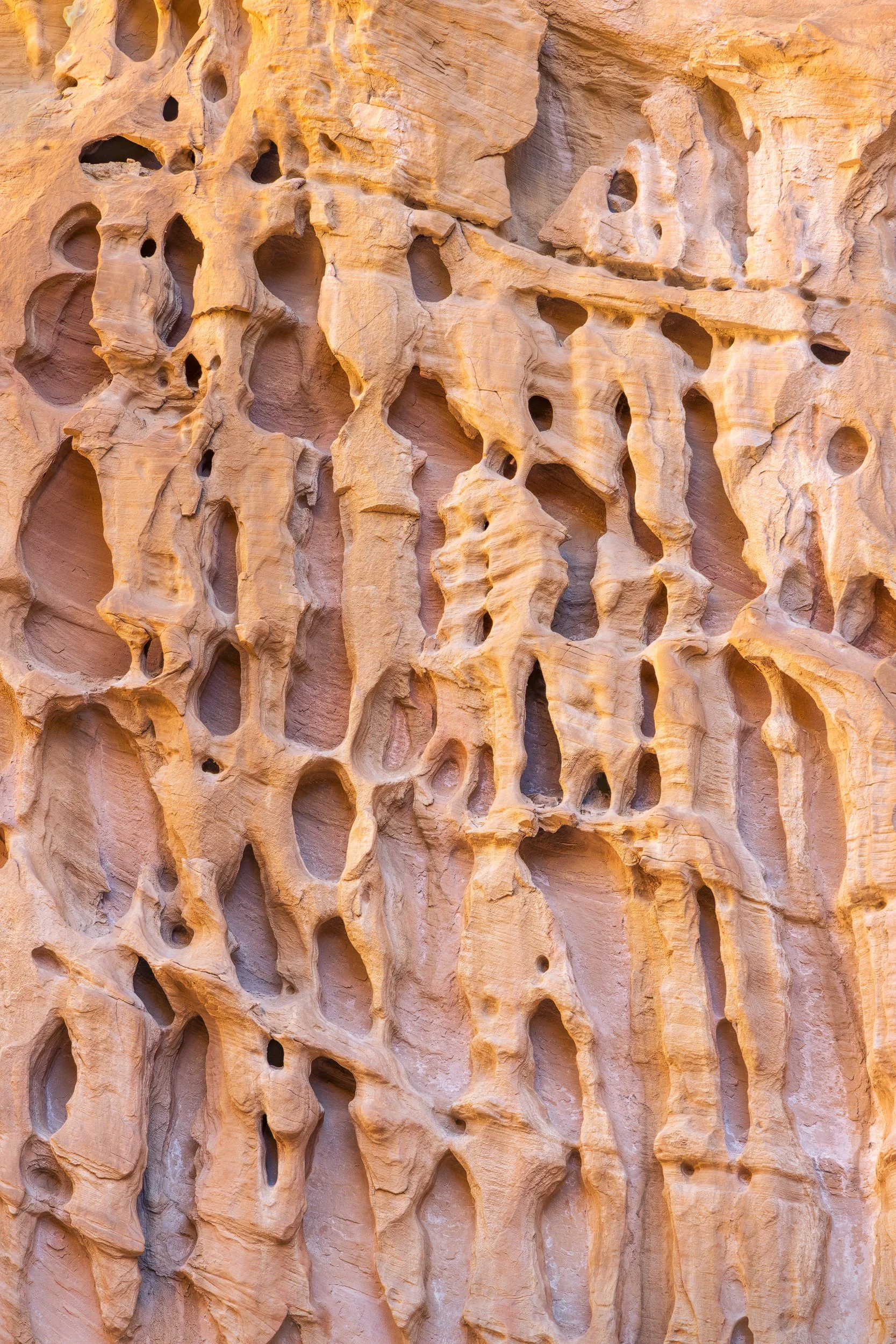 Temple Wall
Capitol Reef, UT 2025