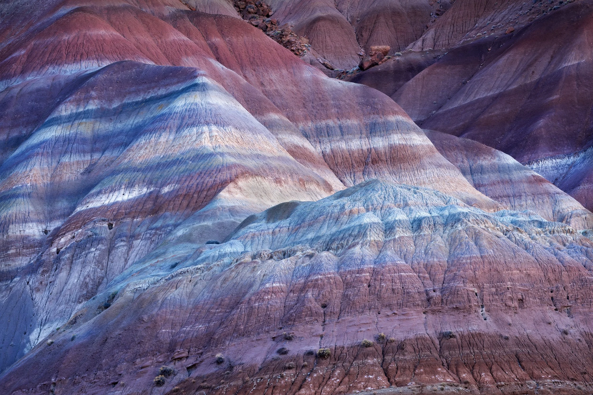 Painted
Escalante, UT 2025