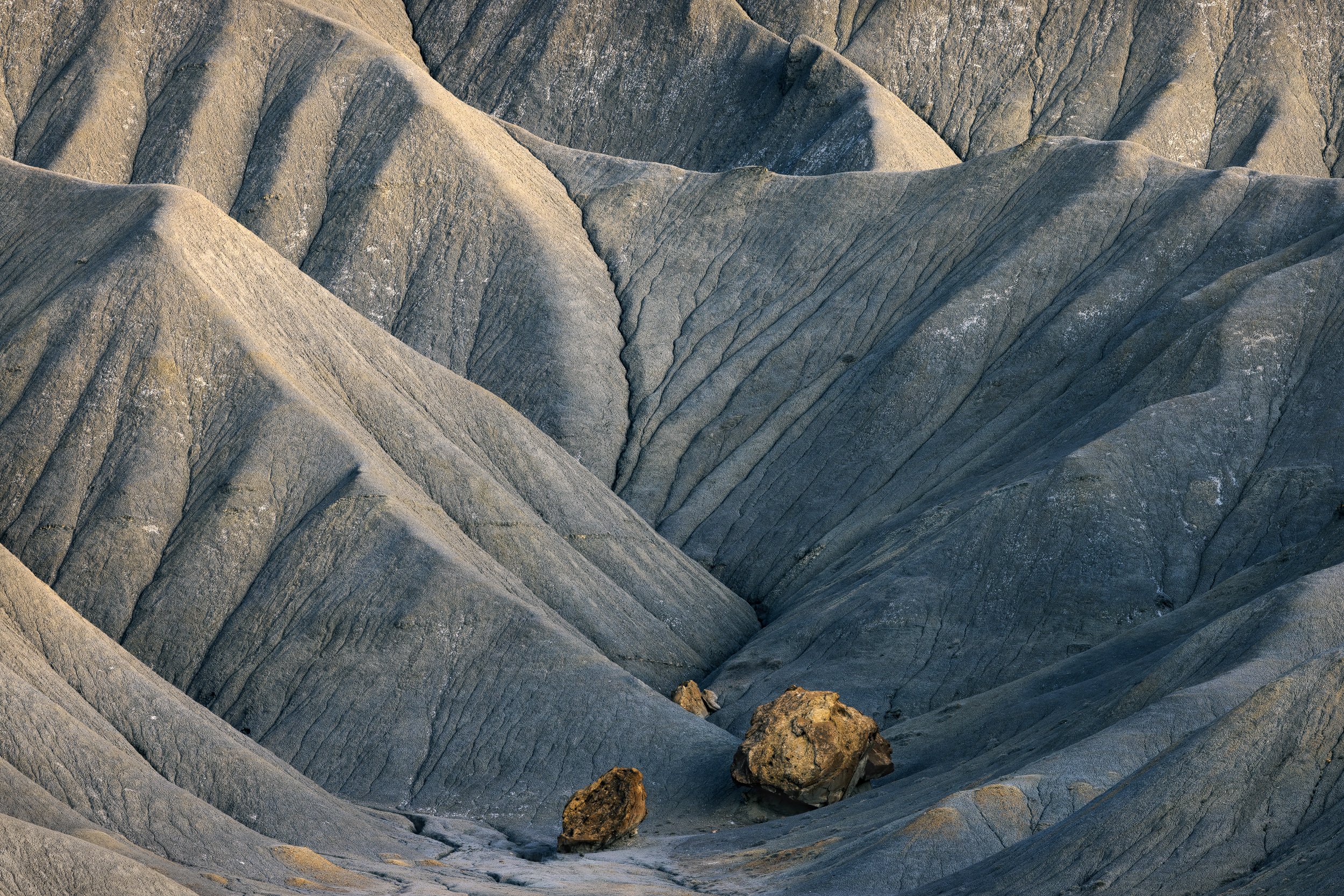 Cradled
Capitol Reef, UT 2025