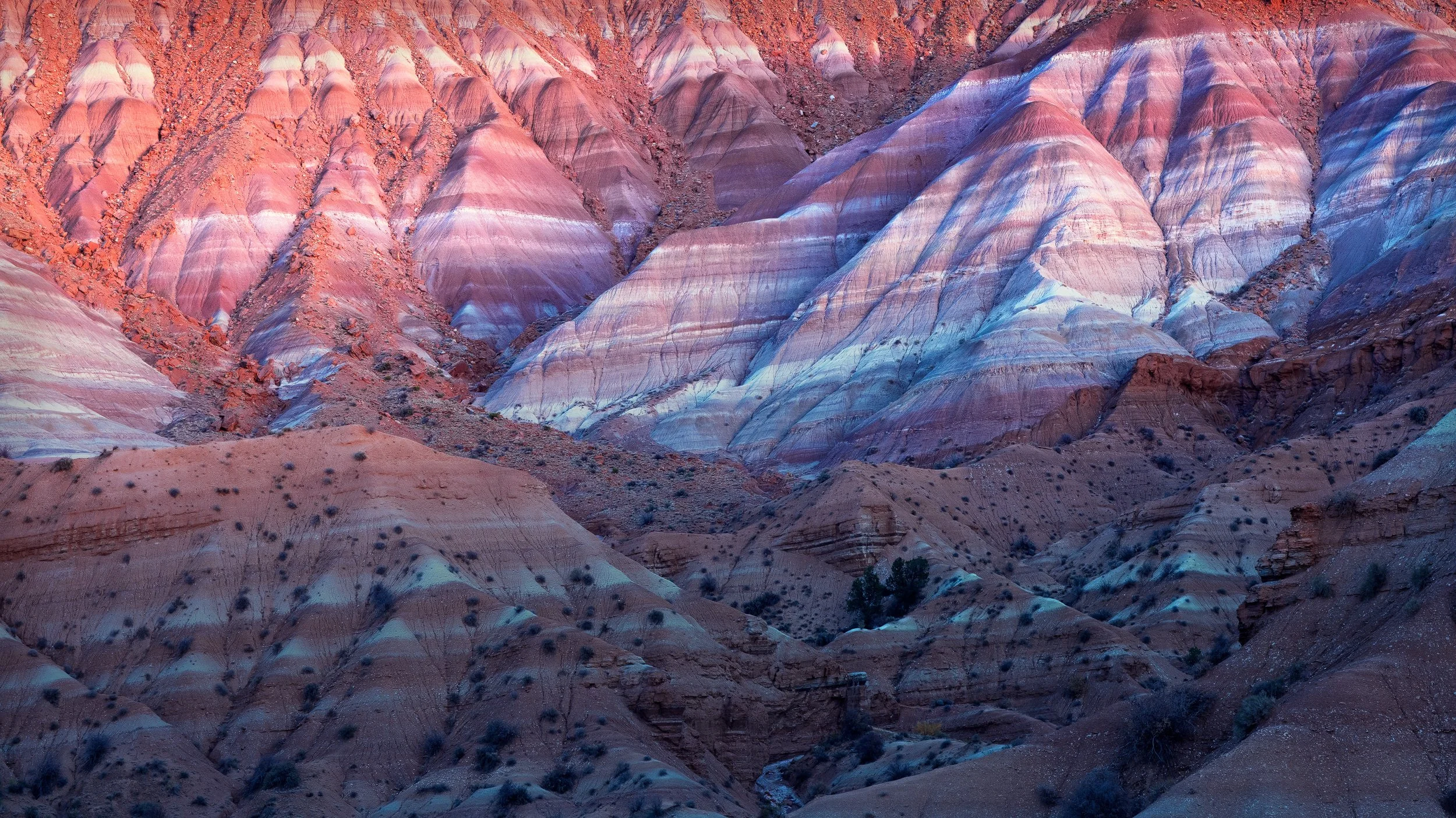 Red and White
Escalante, UT 2025