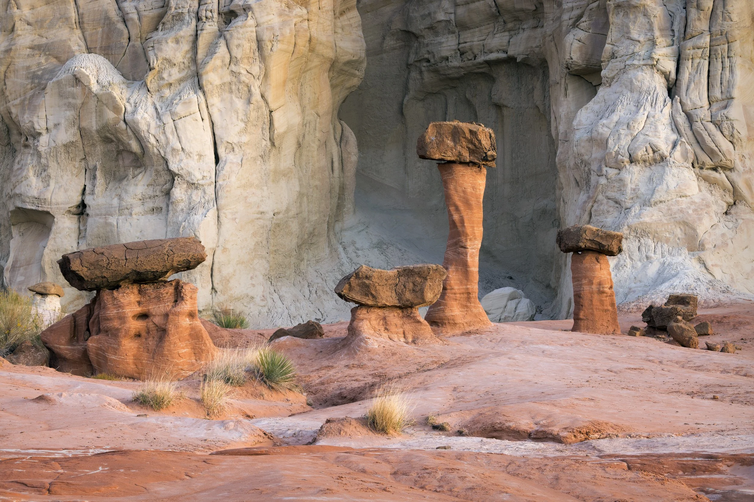 Perched
Escalante, UT 2025