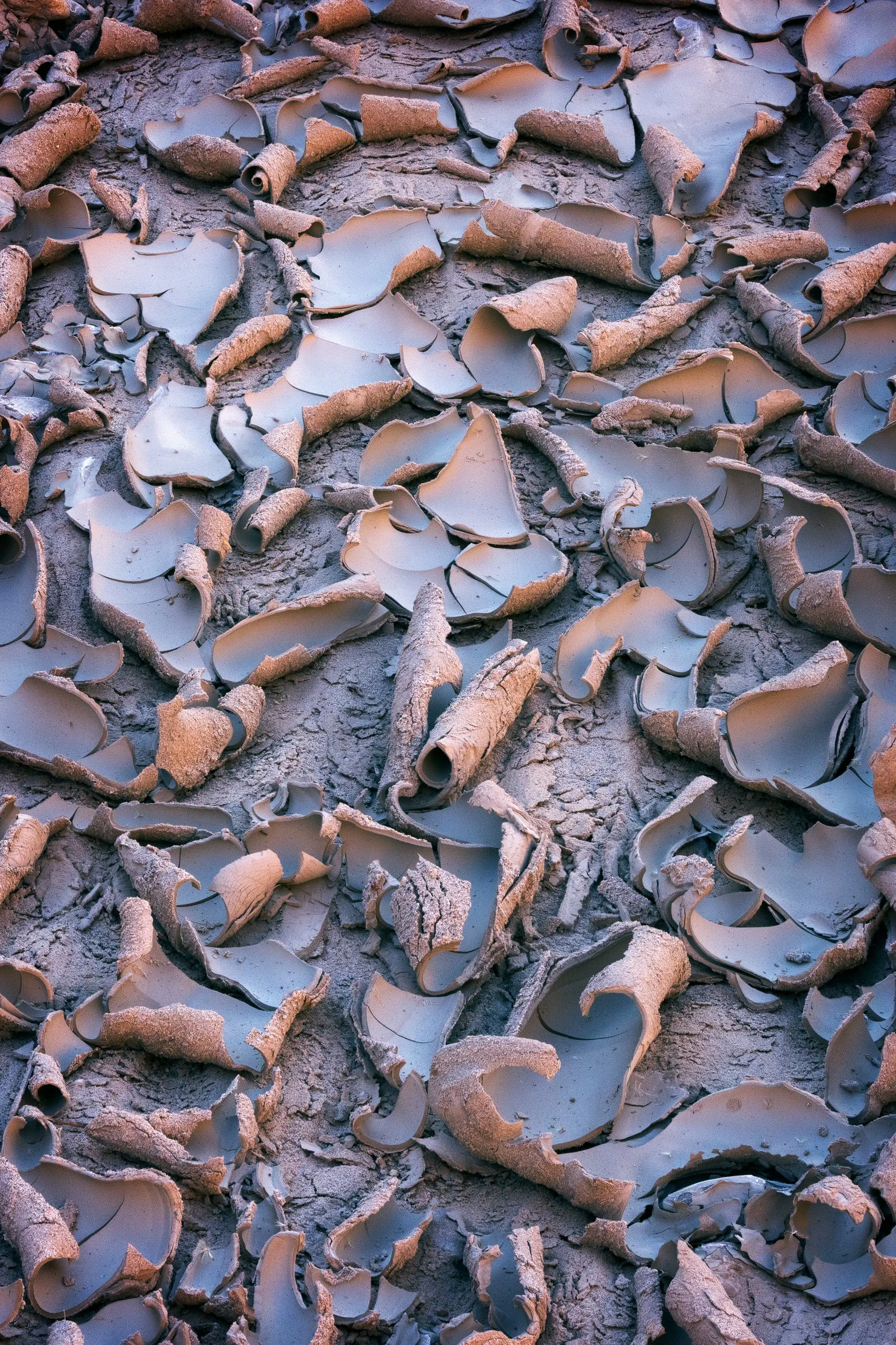 Shavings
Escalante, UT 2025