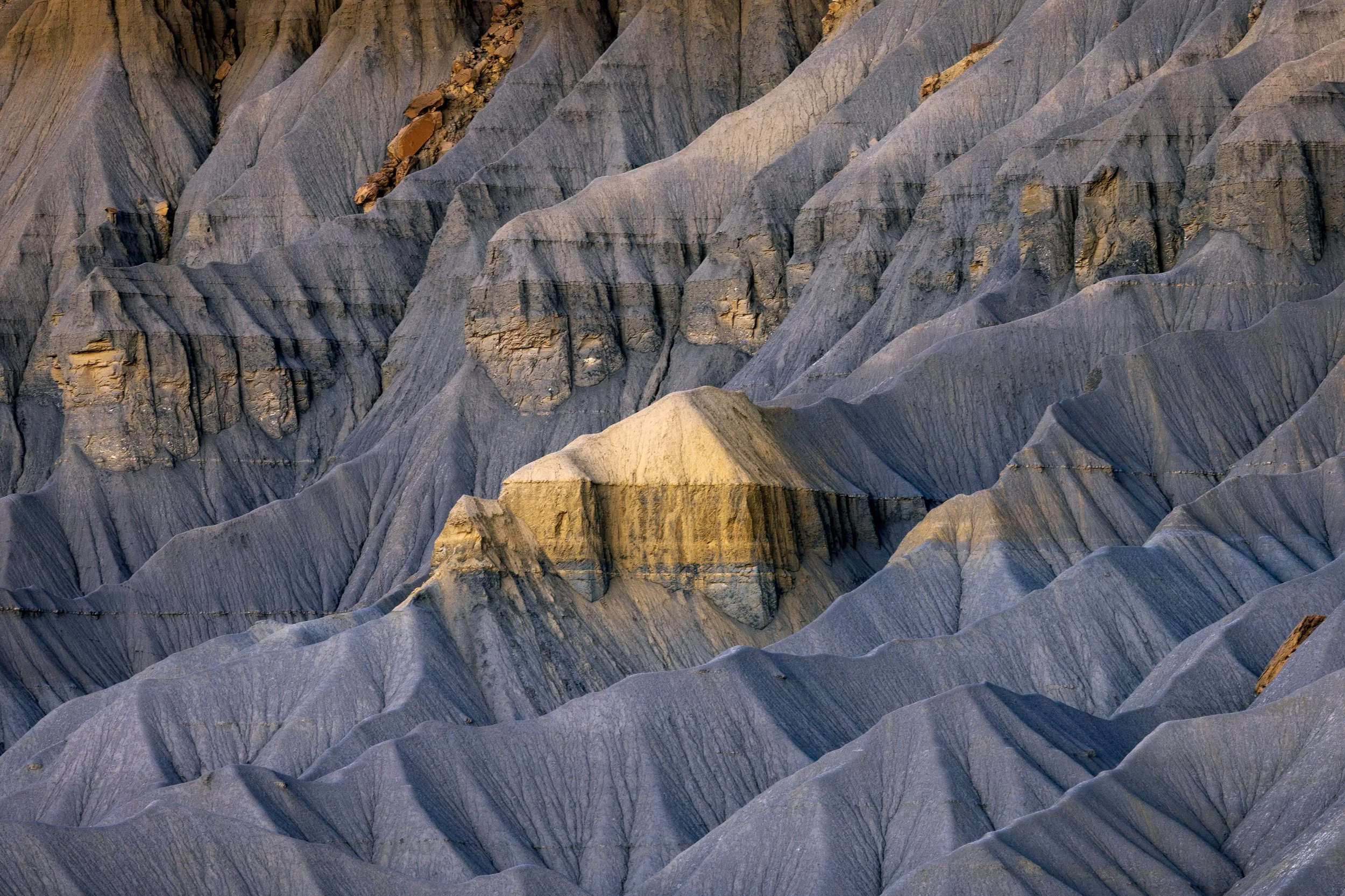 Mountain Home
Capitol Reef, UT 2025