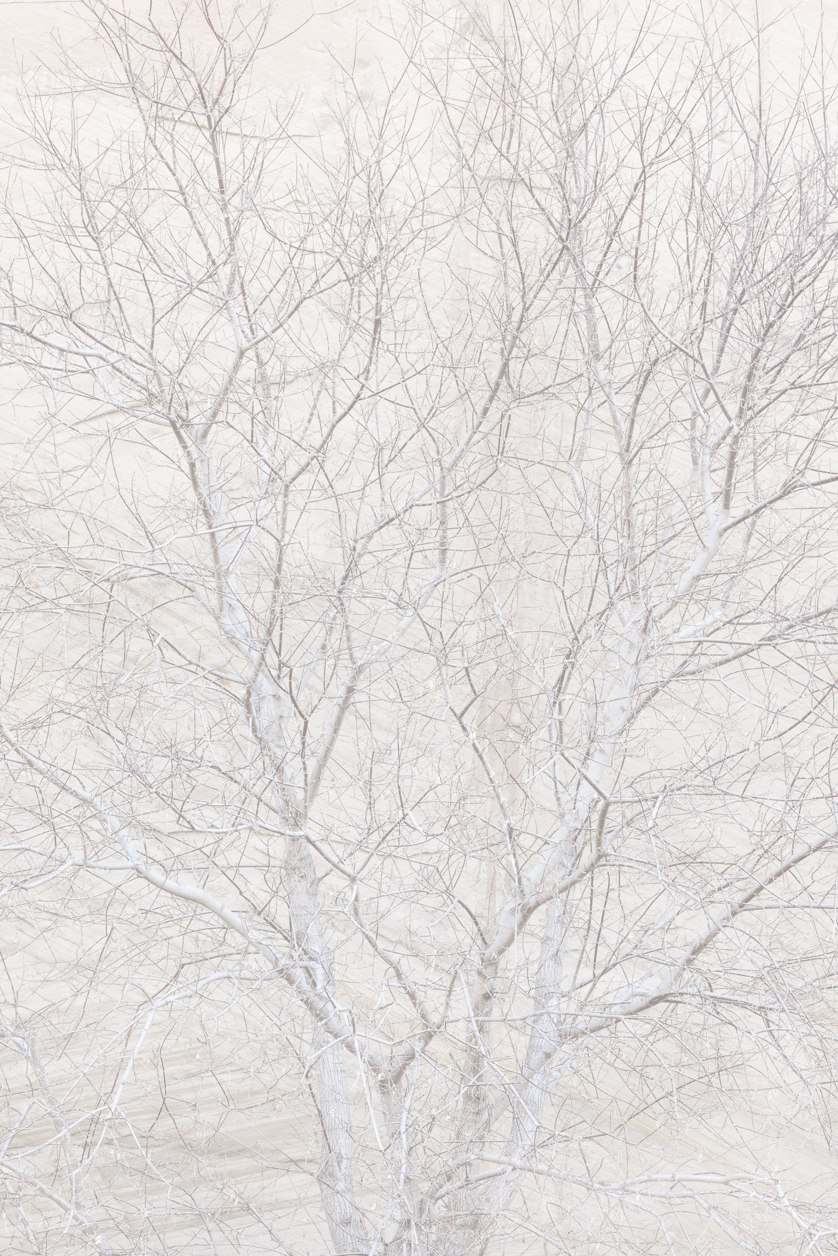 Apparition
Capitol Reef, UT 2025