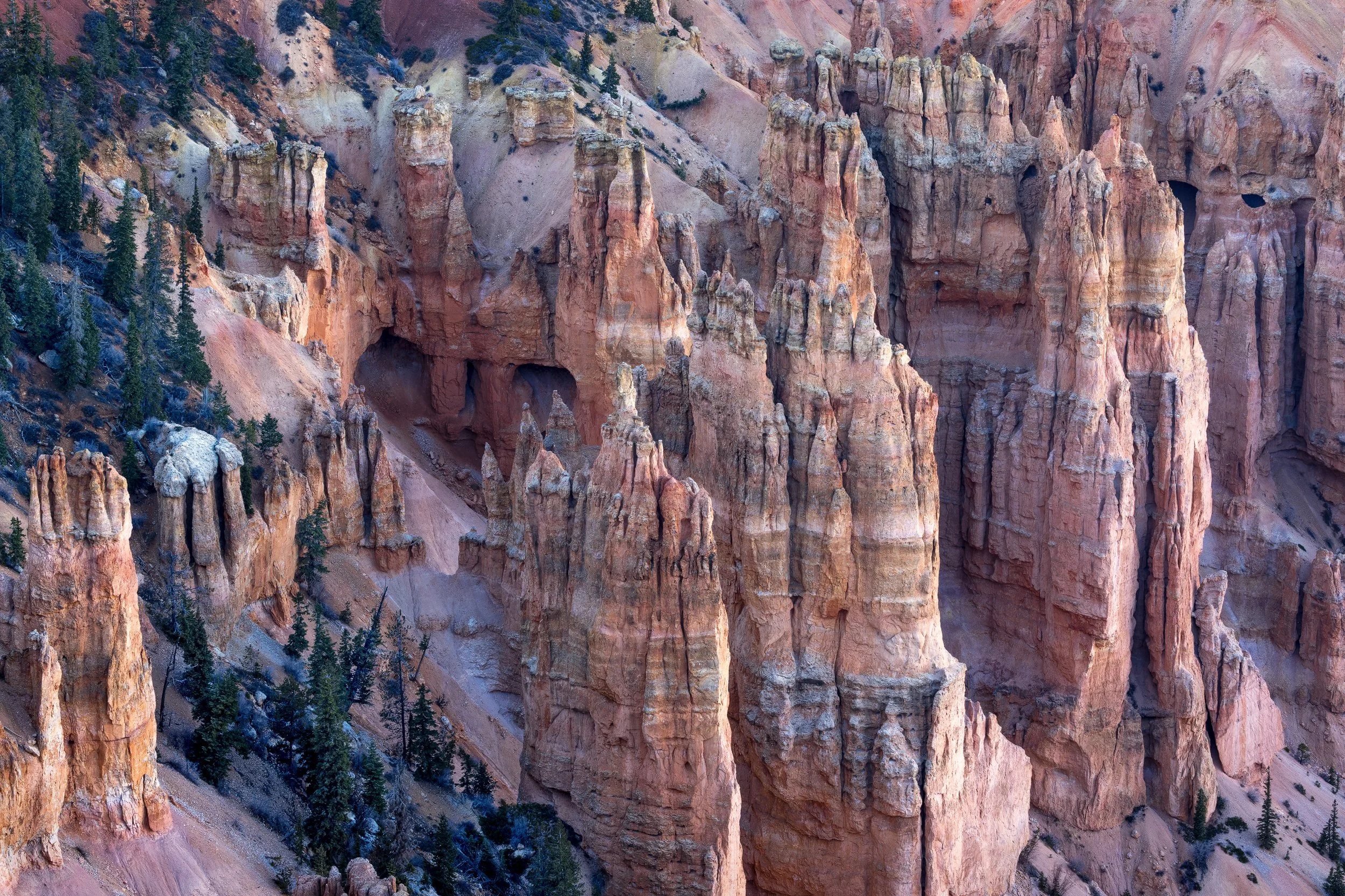 Cathedral Cove
Bryce Canyon, UT 2025