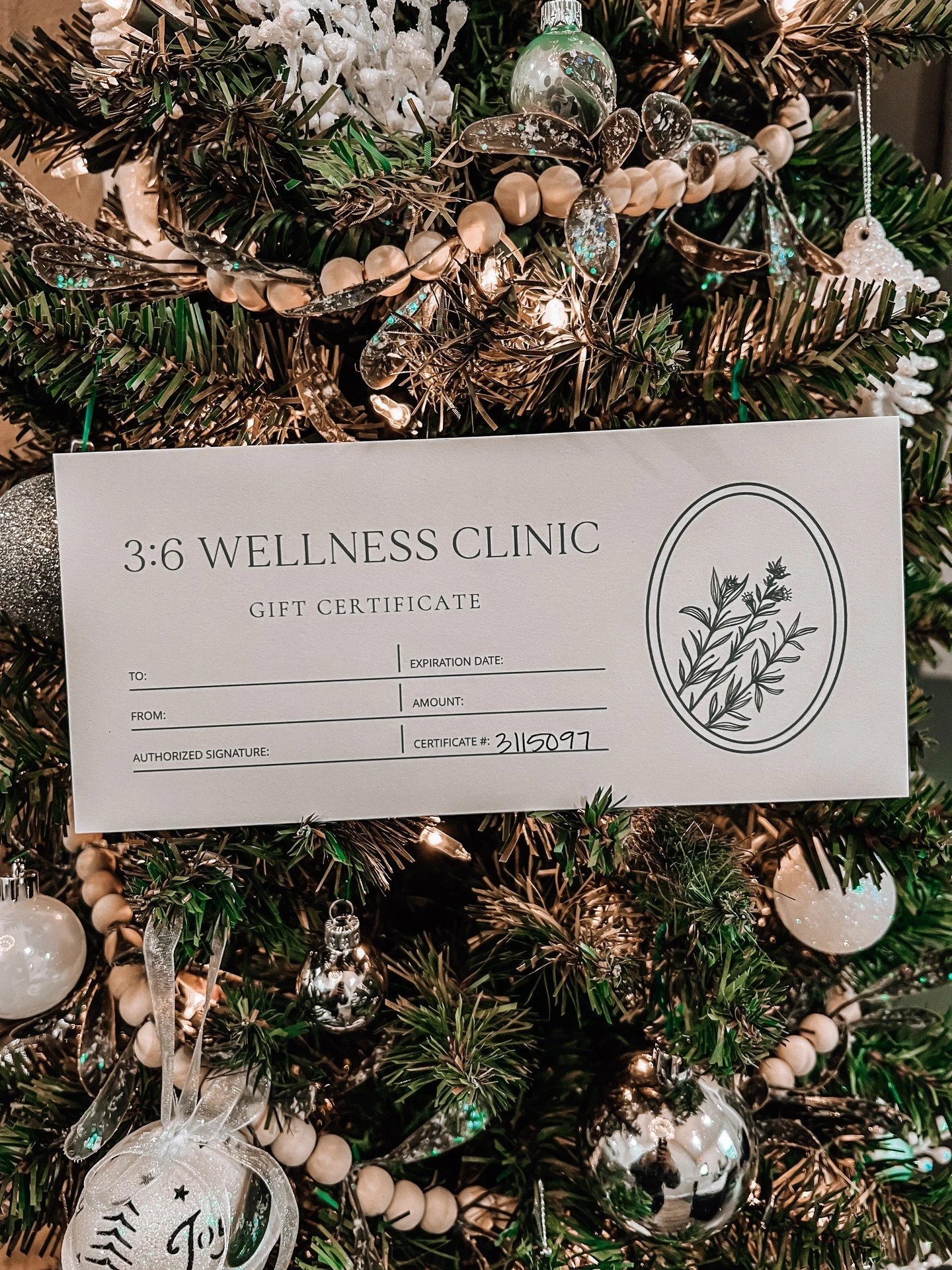 Give the gift of wellness this season. 🎁  Our 3:6 Wellness Clinic gift cards provide a simple way to support someone you love, whether they want to focus on hydration, immune support, or select something meaningful from our wellness store.

A gentle