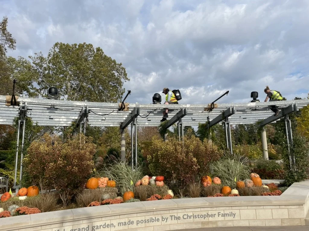 BFEE1E09-8739-4FAA-B245-70B0E4675CB1_1_105_c.jpeg