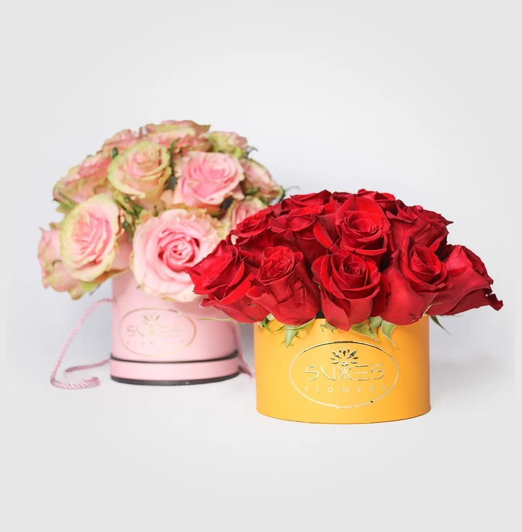 Our blooms aren&rsquo;t the only thing looking fresh; our brand new website is live!

Browse, shop, and fall in love with florals all over again.

🌐 LINK IN BIO 
📦 Now delivering across Miami-Dade &amp; Broward