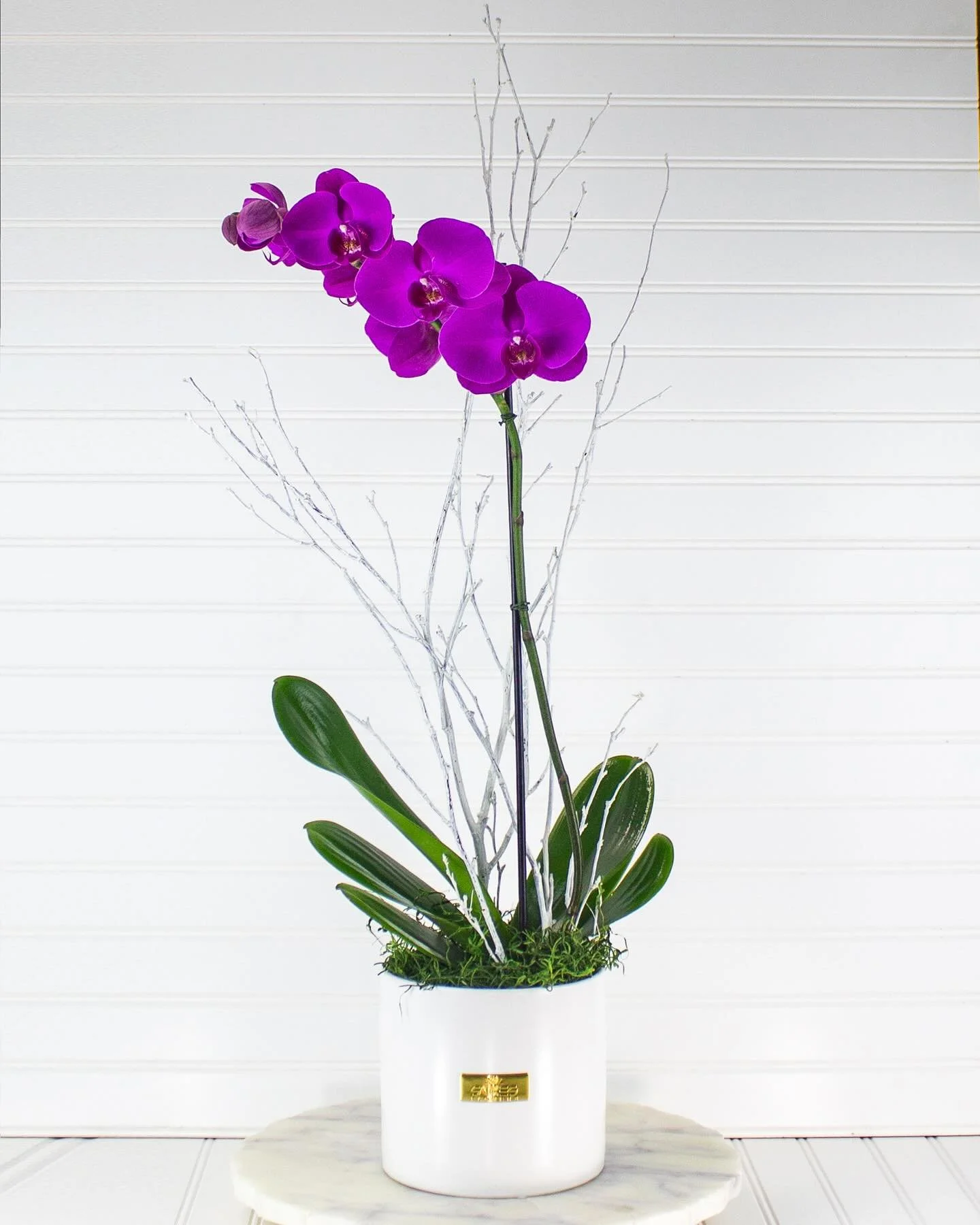Send this to someone who loves orchids.
