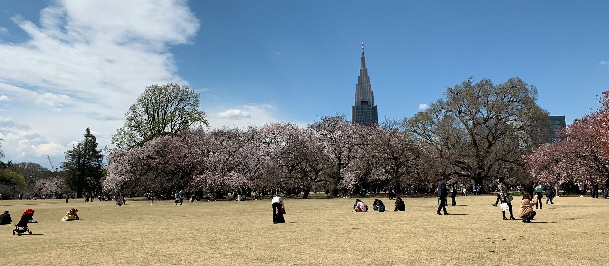 Tokyo Member Meetup