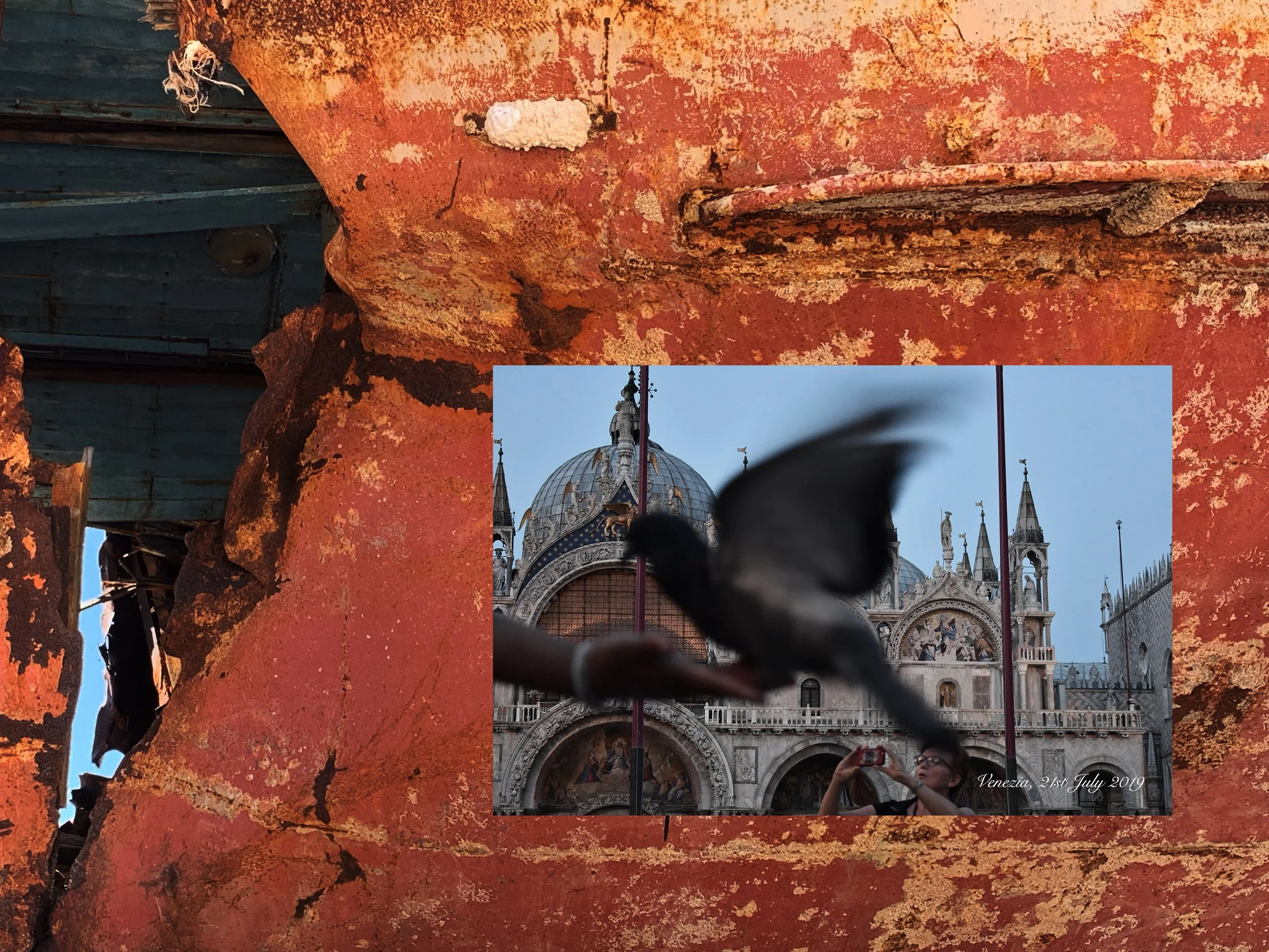 Barca Nostra bird_6003_rvsd copy.jpg