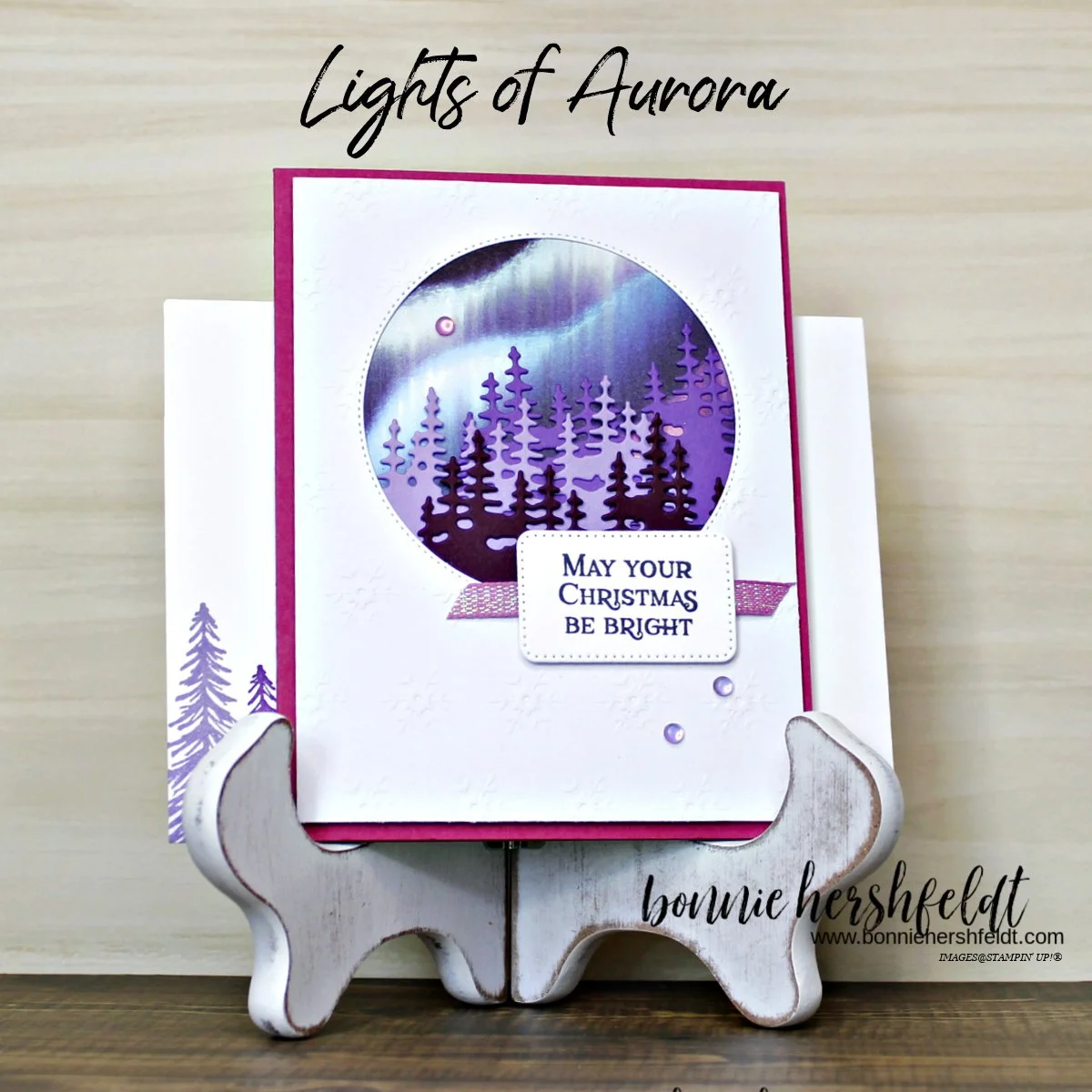 Lights of Aurora Berry Burst Circle Facebook Post.jpg