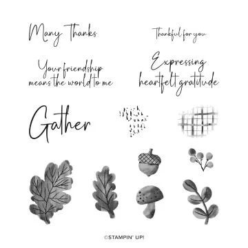 Gathering Moments Stamp Set.jpg