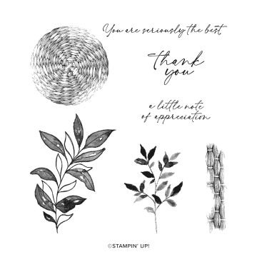 Textured Notes Photopolymer Stamp Set