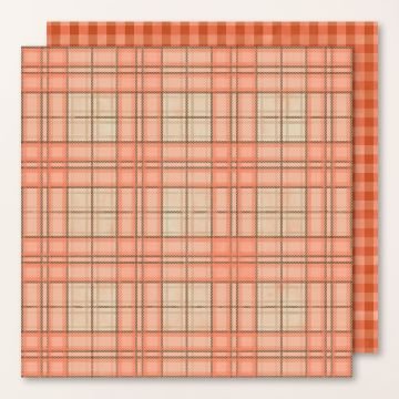 Timeless Plaid 3.jpg (Copy)