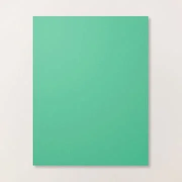 Shy Shamrock 8.5 x 11 cardstock.jpg