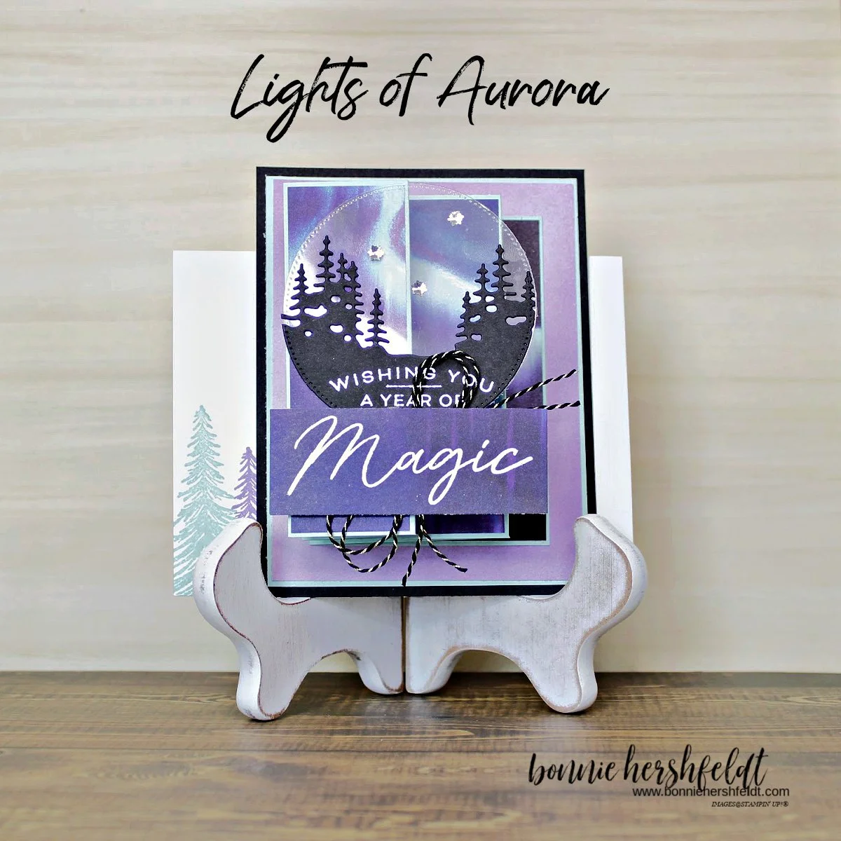 Lights of Aurora fun fold Facebook copy.jpg