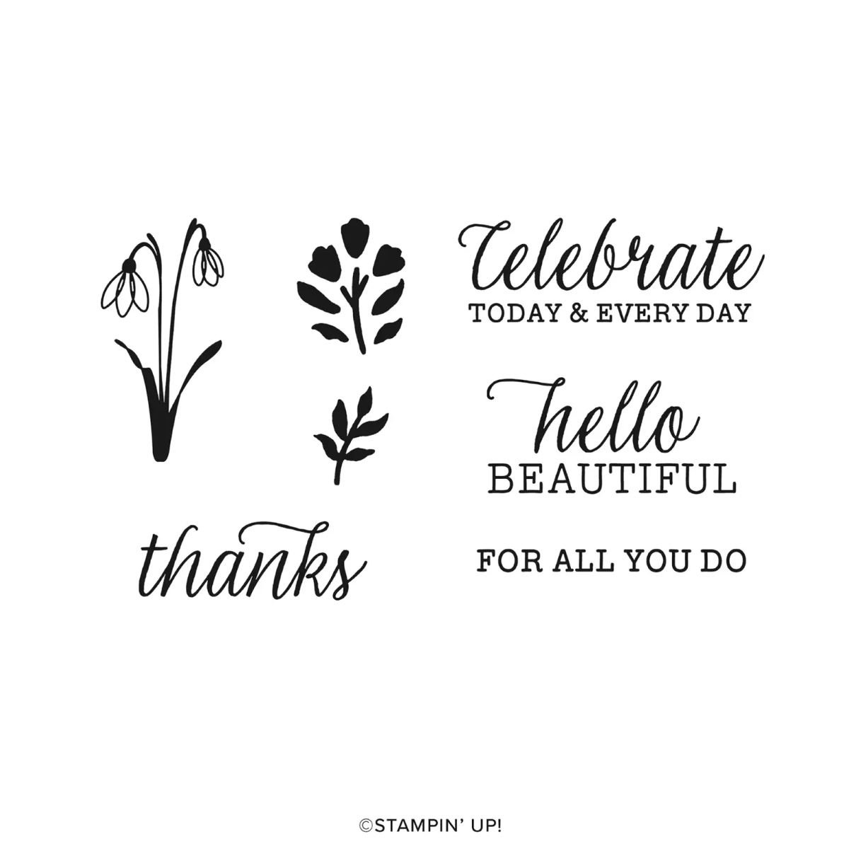 Everyday.Beauty.Stamp.Set.webp