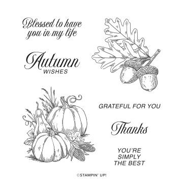 Amber Autumn Stamp Set.jpg