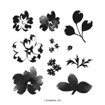 Petals of Beauty Stamp Set.jpg