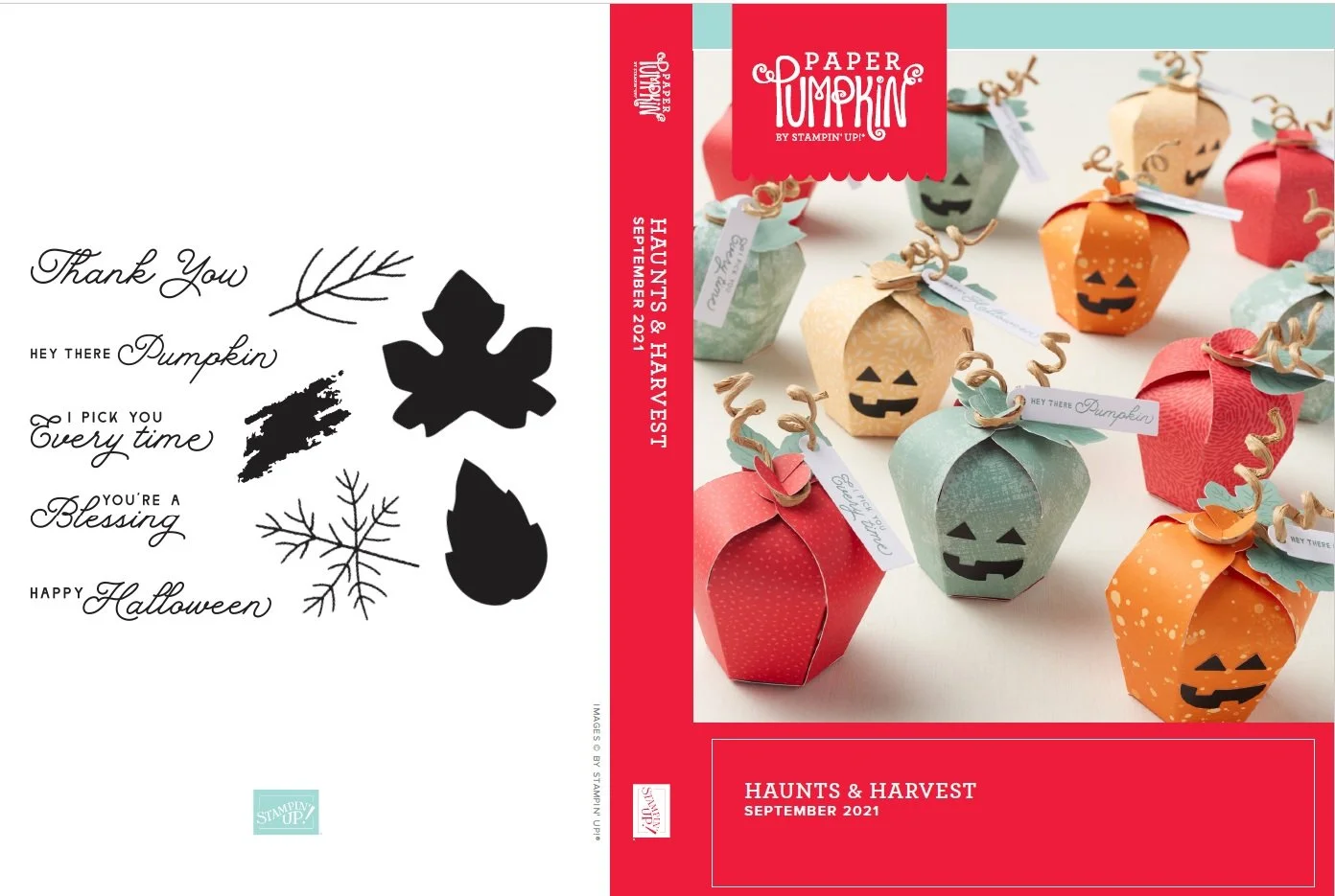 Haunts and Harvest Photopolymer Stamp Set (Paper Pumpkin September 2021 kit)