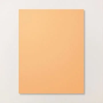 Peach Pie 8.5 x 11 cardstock.jpg (Copy)