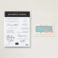 Sentimental Framing Stamp SEt.webp