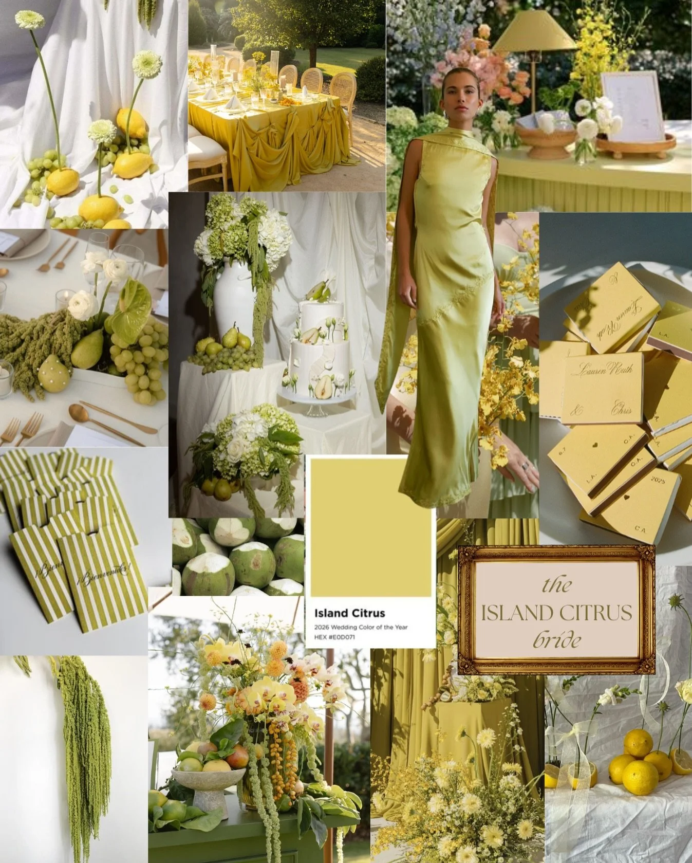 We heard &ldquo;island citrus&rdquo; is the new butter yellow of 2026 weddings and we&rsquo;re so hear for it🍈🍋🍐🥝 any 2026 brides with this vibe?! 

Saw @mintedweddings posted about the color of year and we&rsquo;re OBSESSED 

&mdash; color of th