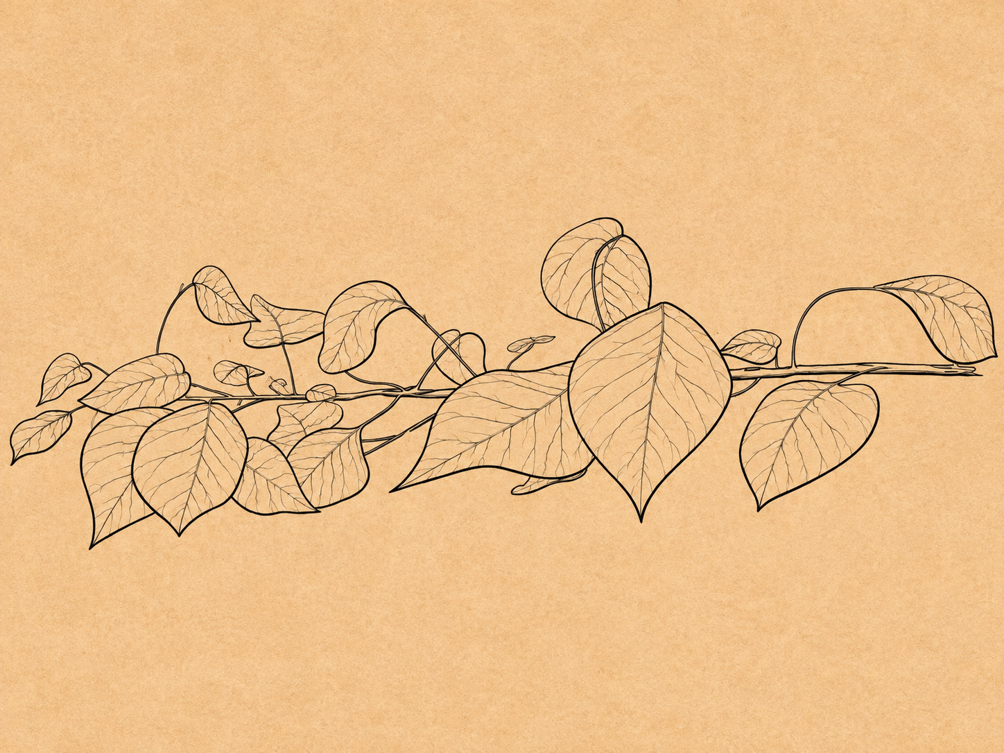 A8F8FFA2-162E-4044-A9DC-3E02F3F47CB1.png