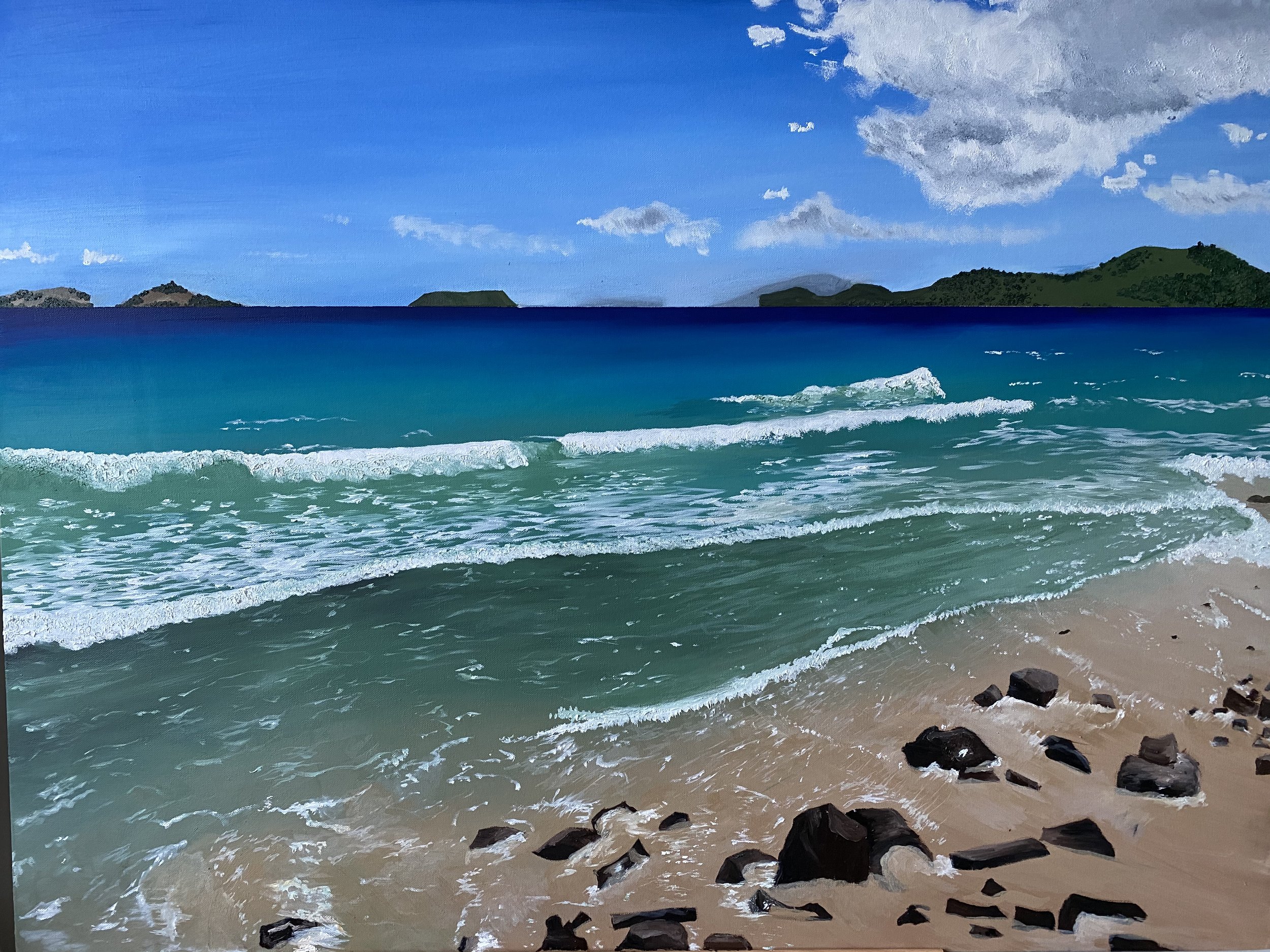 Zoni Beach, Culebra Puerto Rico (2020) [Private Collector]
