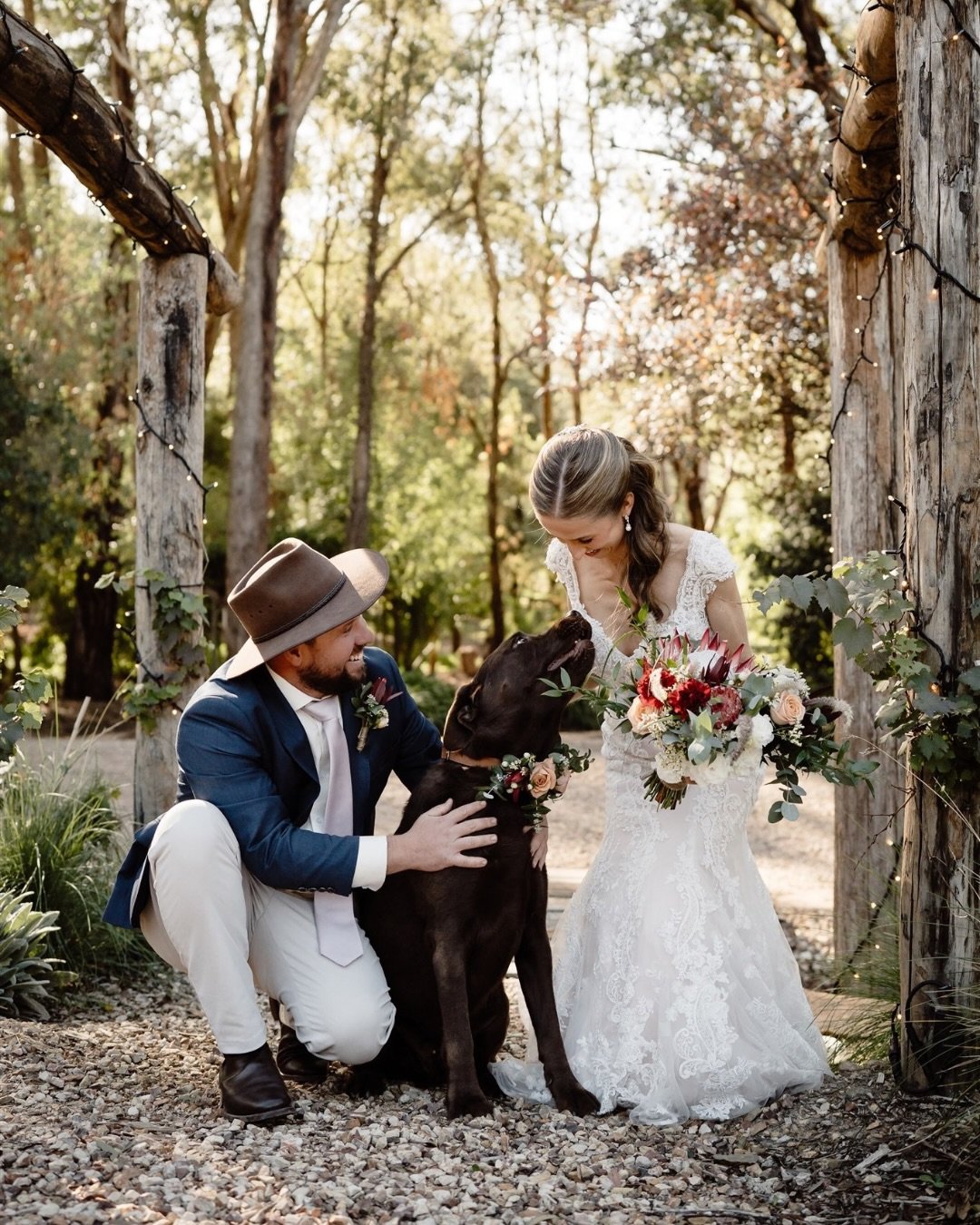 Private property for preps ✔️
Awesome bridal party ✔️
Ollie dog ✔️
No wind ✔️
Insane views ✔️
All day laughs ✔️
WINNING!

📷 by Elise

Ceremony Venue // @flowerdaleestate 
Wedding Dress // @lmt_bridal 
Florist // @mountaindaisyflorist 
Make Up // @rl