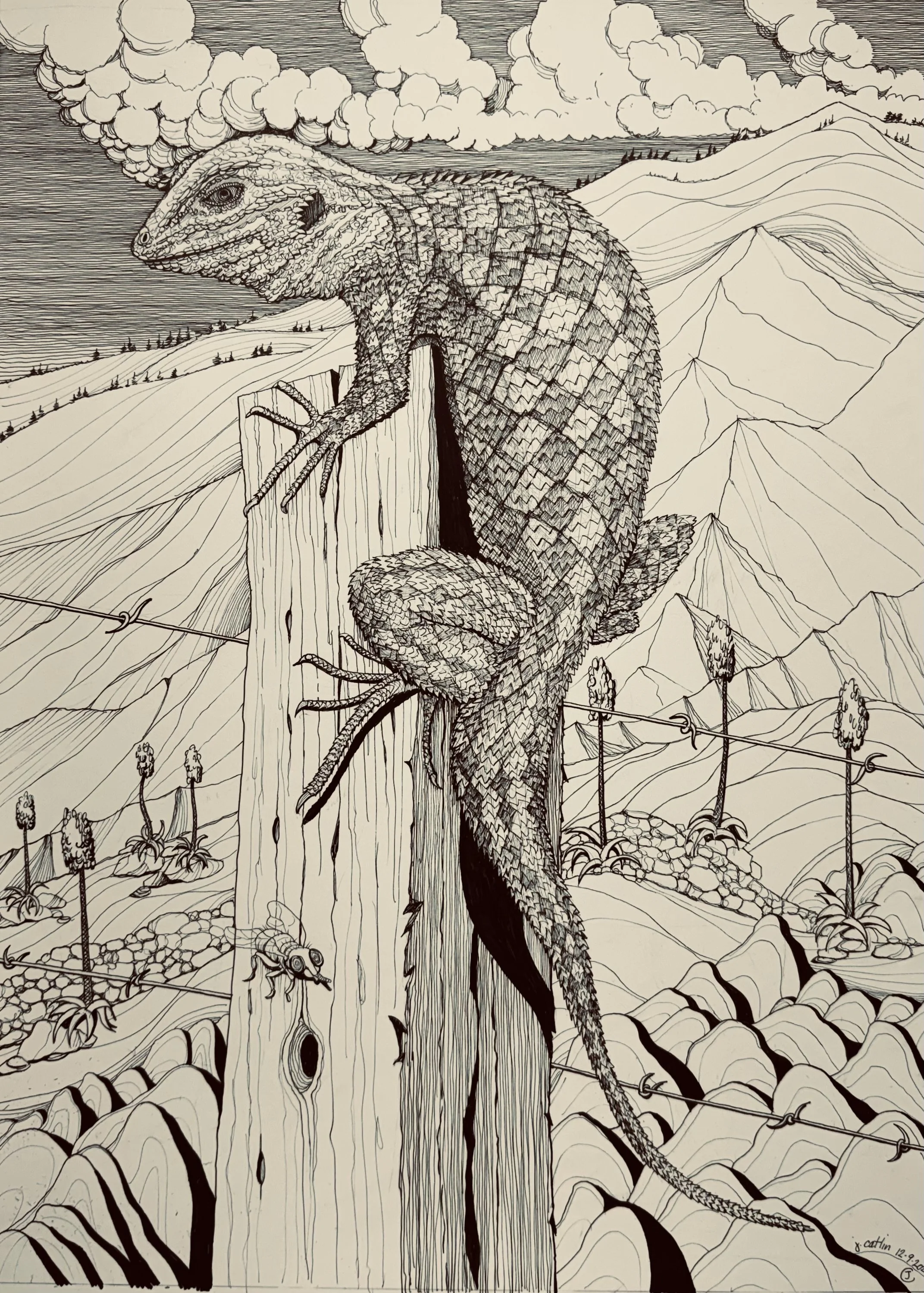 Western Fence Lizard on Post