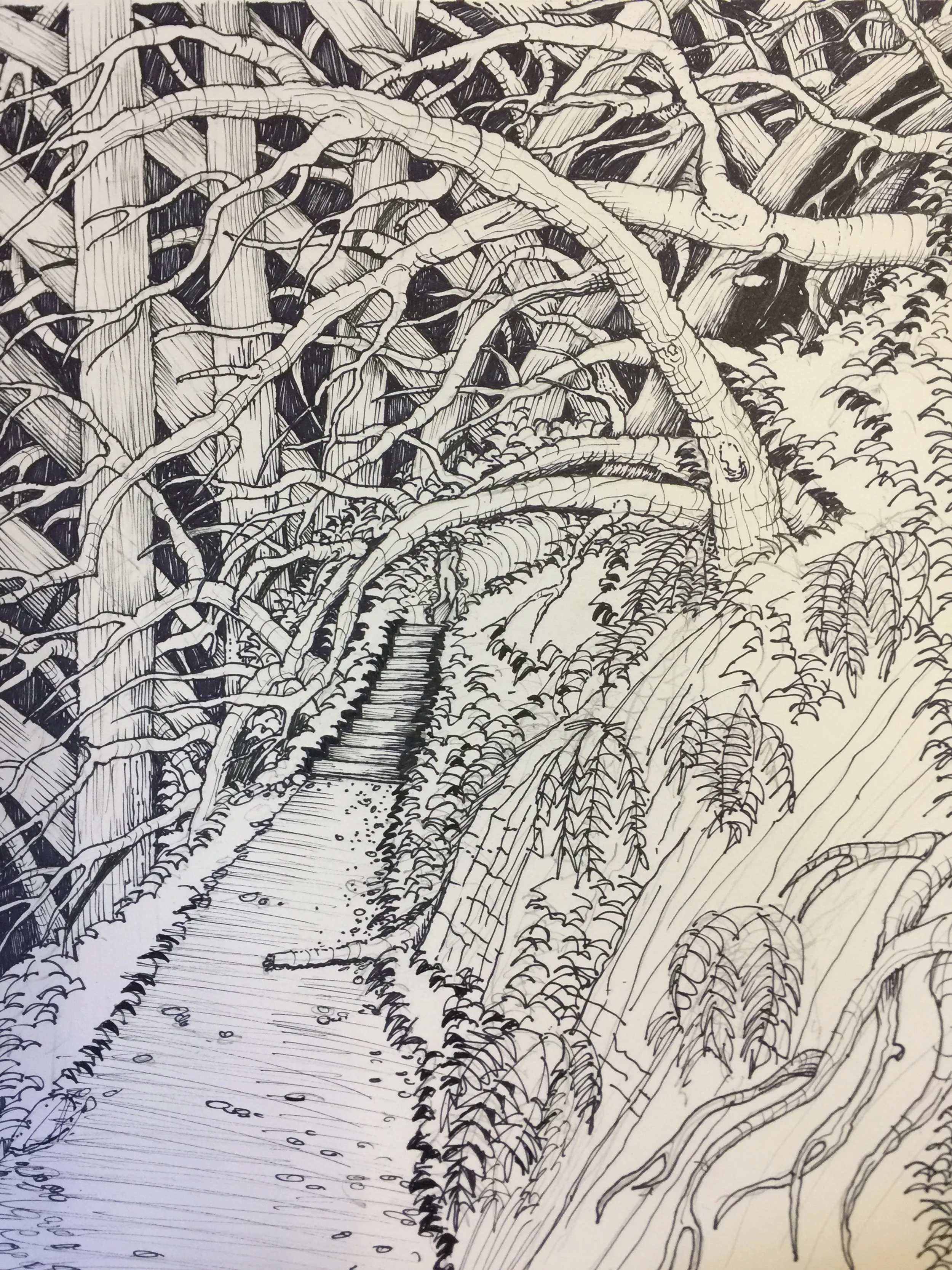 Into The Woods