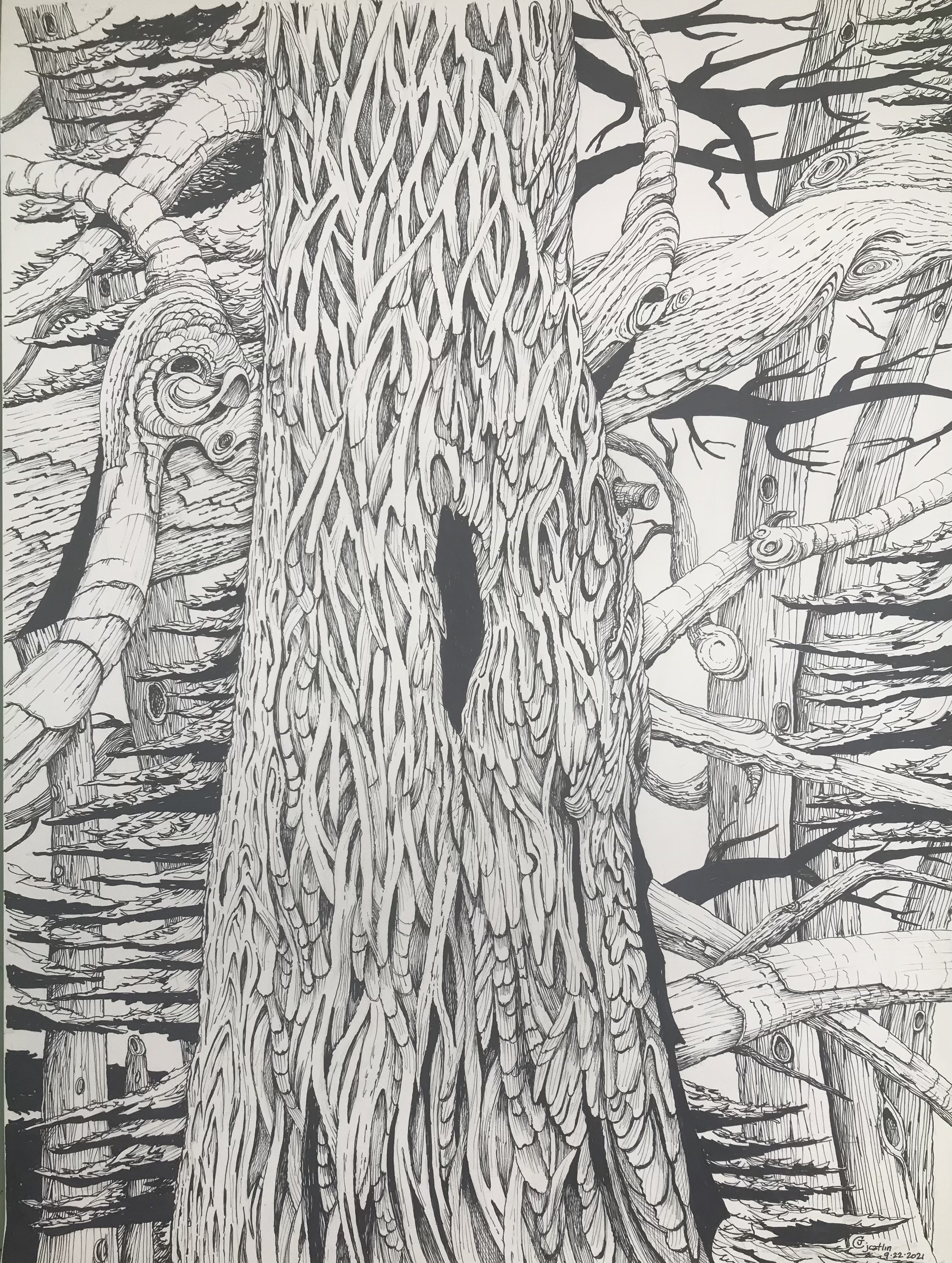 Deep Woods