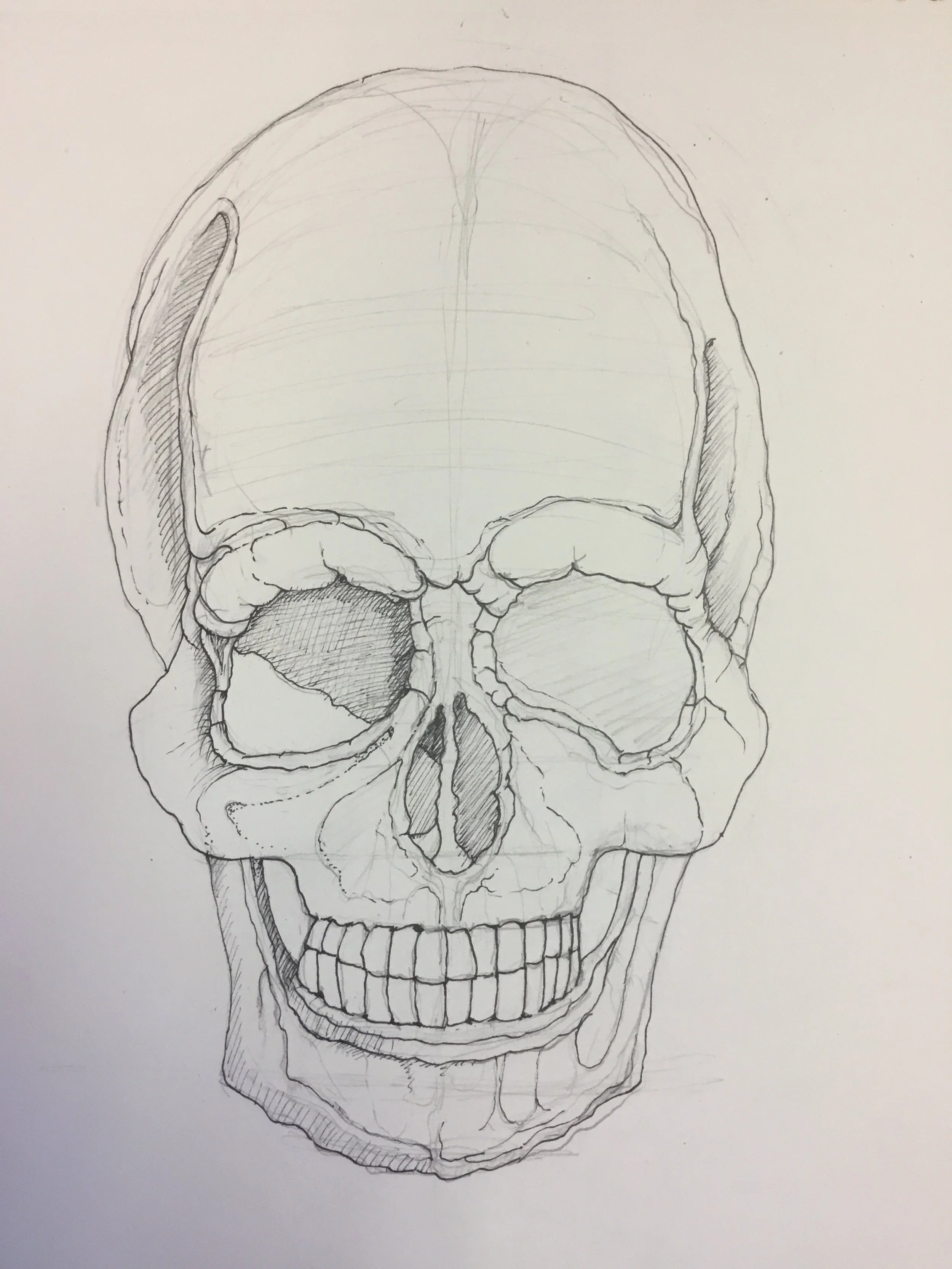 Skull
