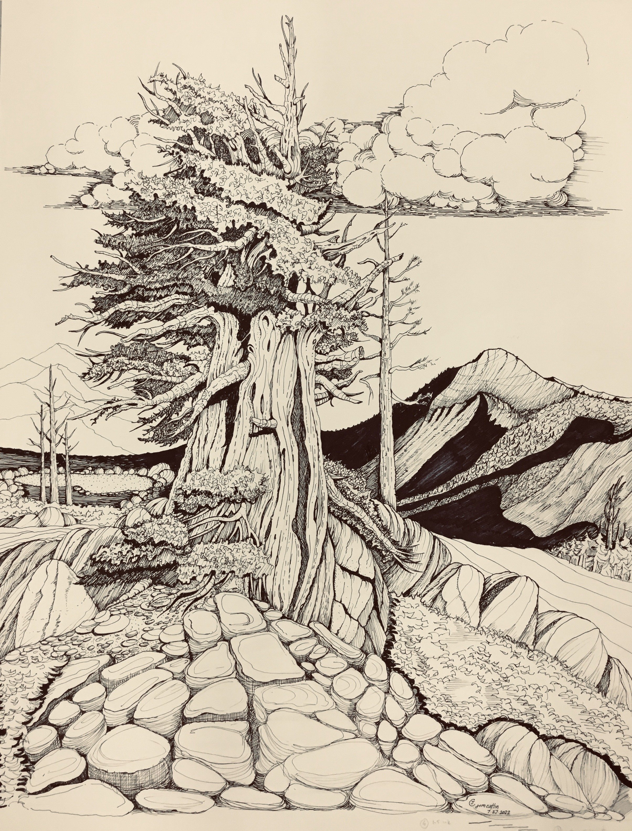 The Guardian: Weathered Western Juniper, Old Donner Pass Road, CA