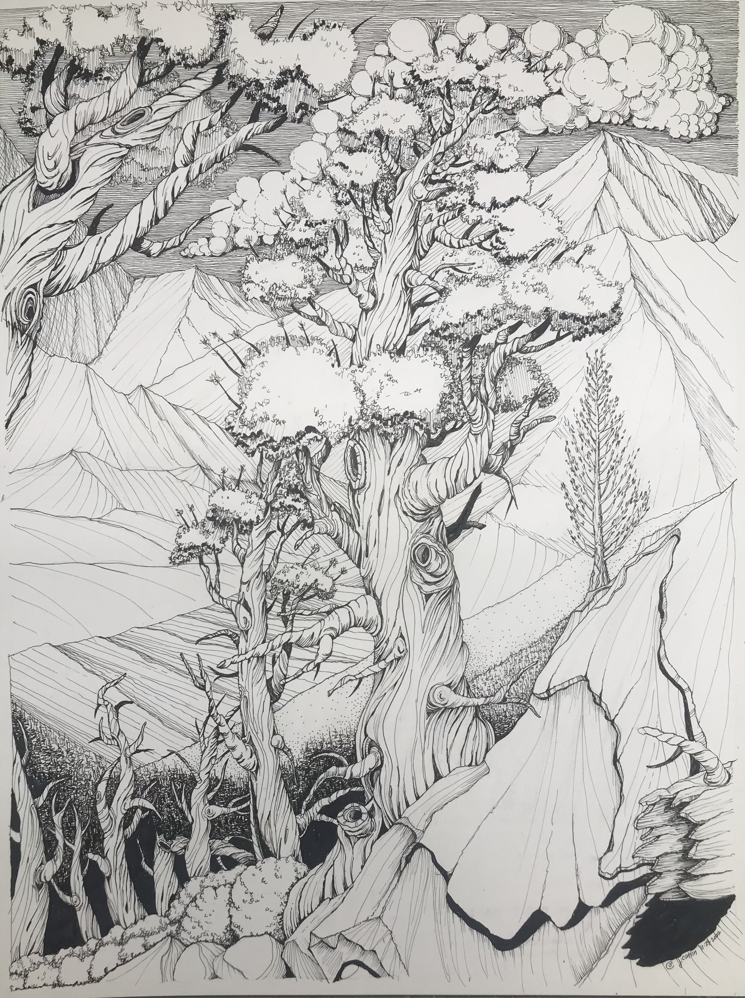 Between a Rock and a Hard Place:  Western Juniper, John Muir Wilderness, CA