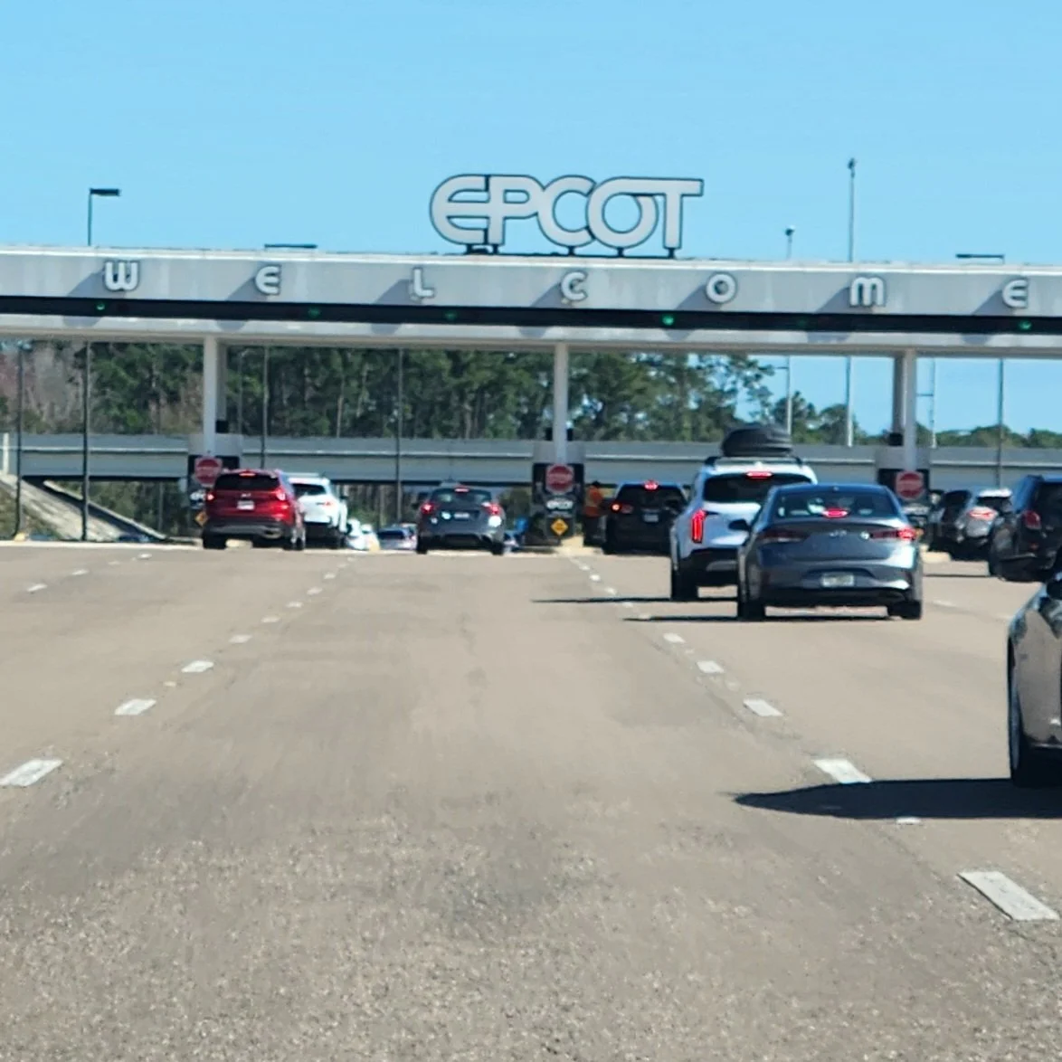 Is Preferred Parking at Walt Disney World Theme Parks Worth the Cost?