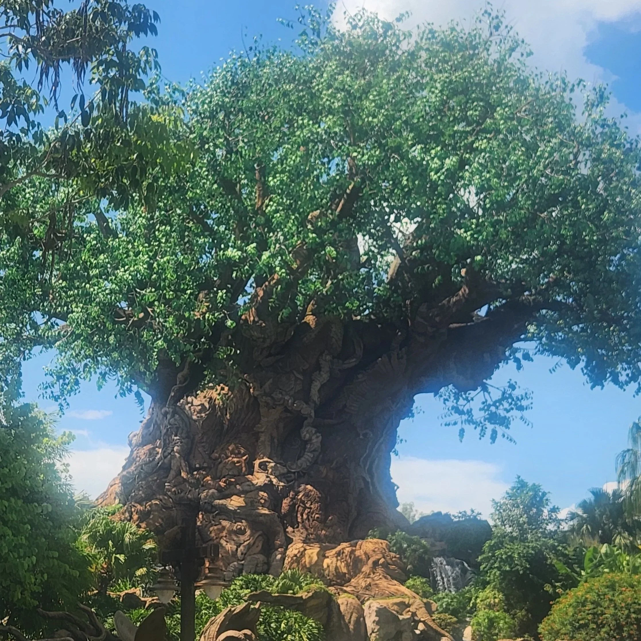 Is Animal Kingdom Worth Visiting With Young Kids? How to Plan the Best Day