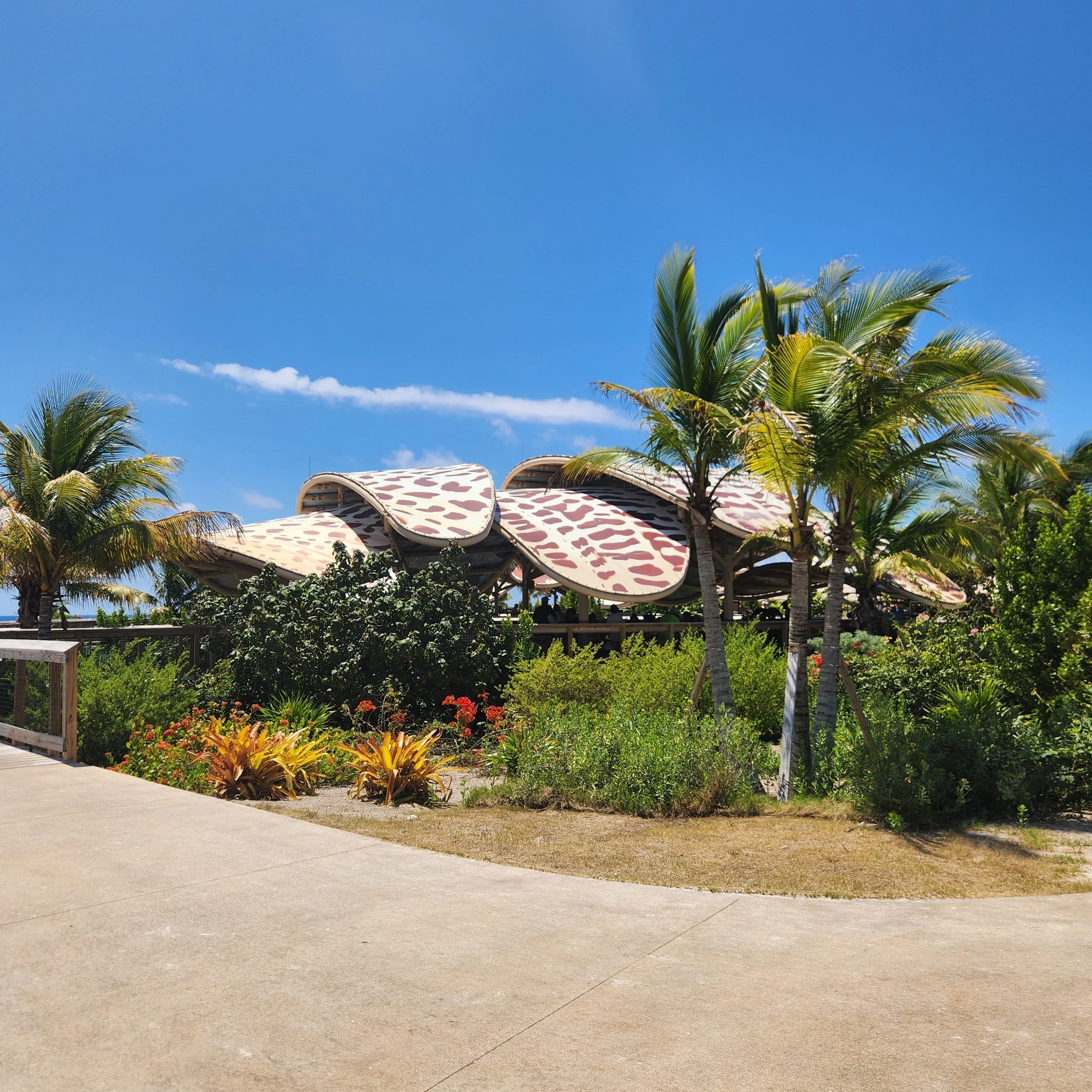 Disney’s Lookout Cay at Lighthouse Point with Toddlers and Preschoolers