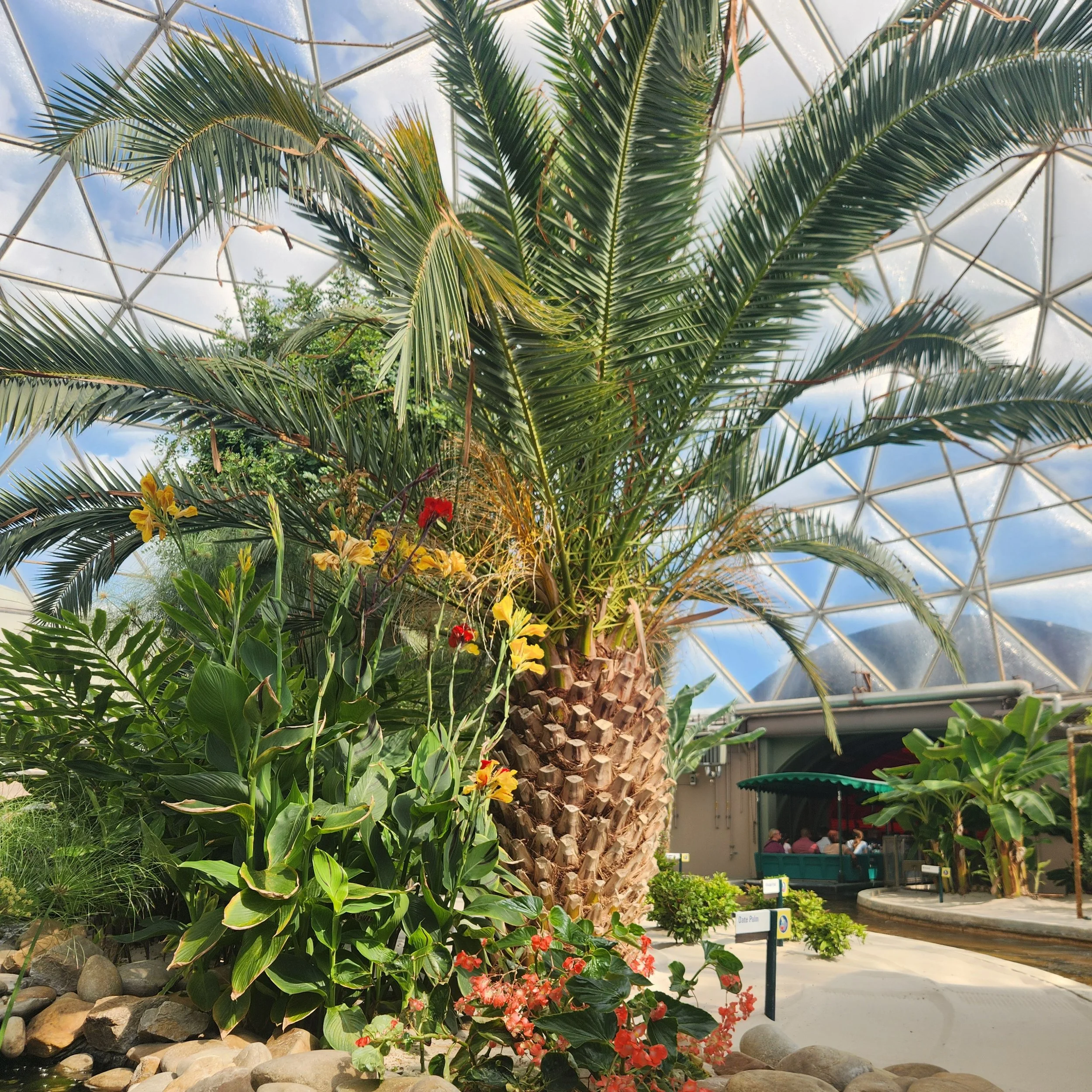 Living with the Land at EPCOT With Toddlers and Young Kids