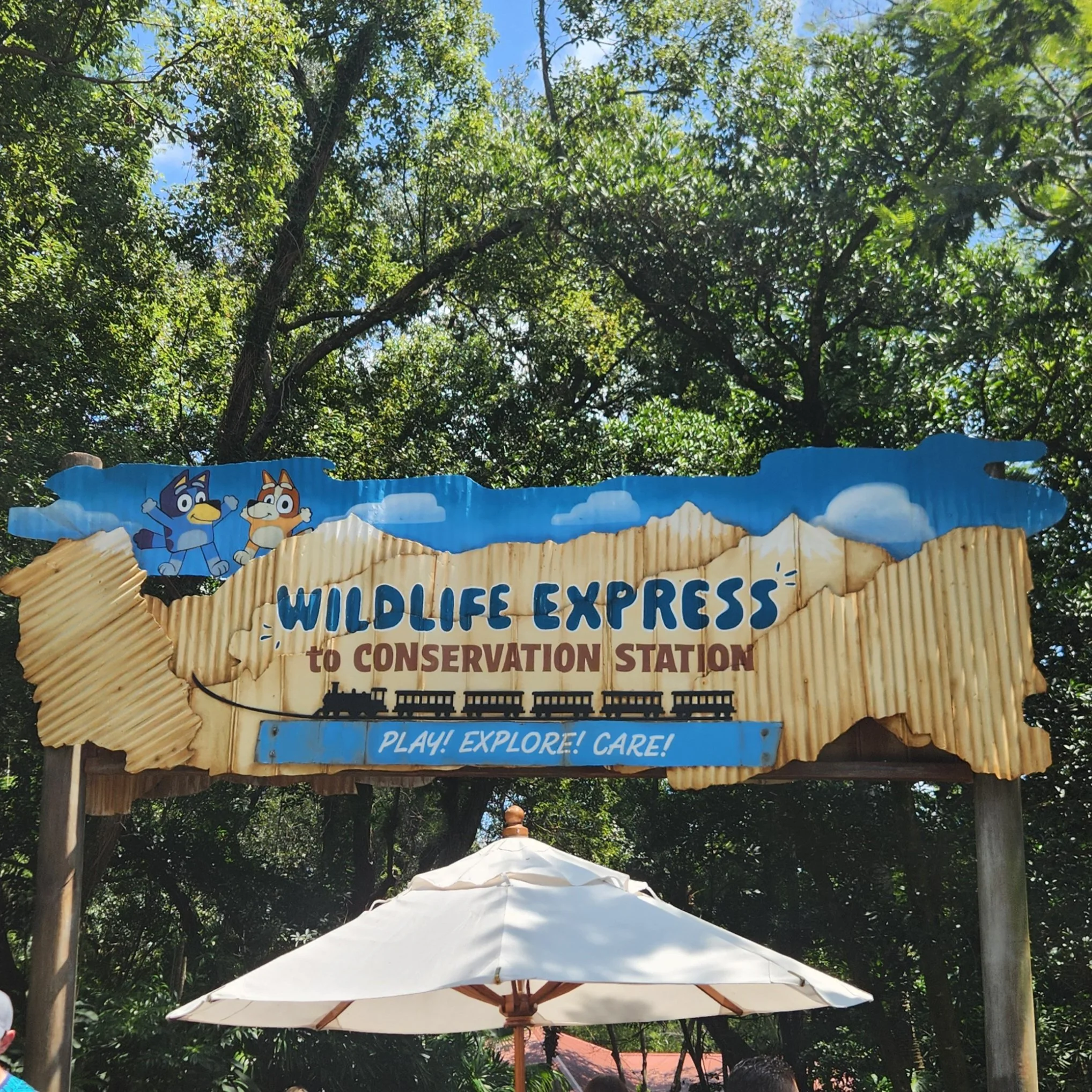 How the Wildlife Express Train Works at Animal Kingdom