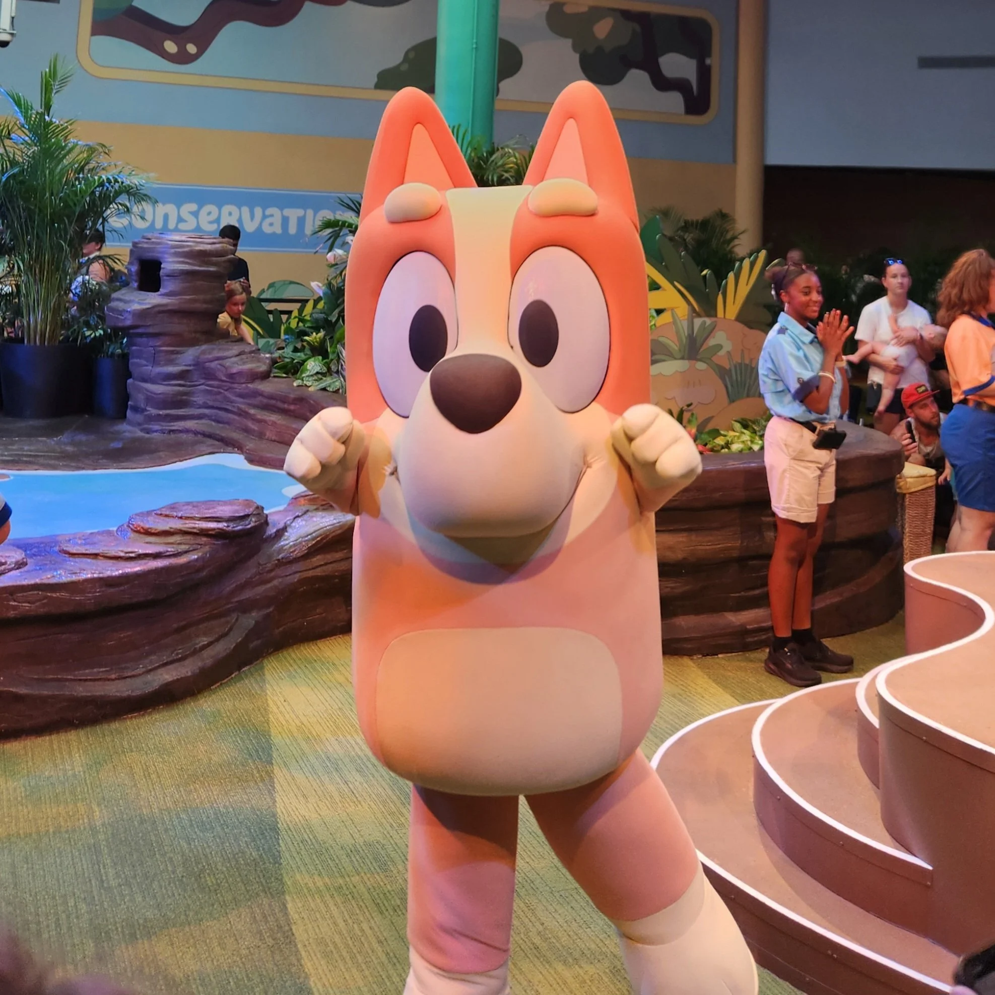 What Is Bluey’s Wild World at Animal Kingdom?