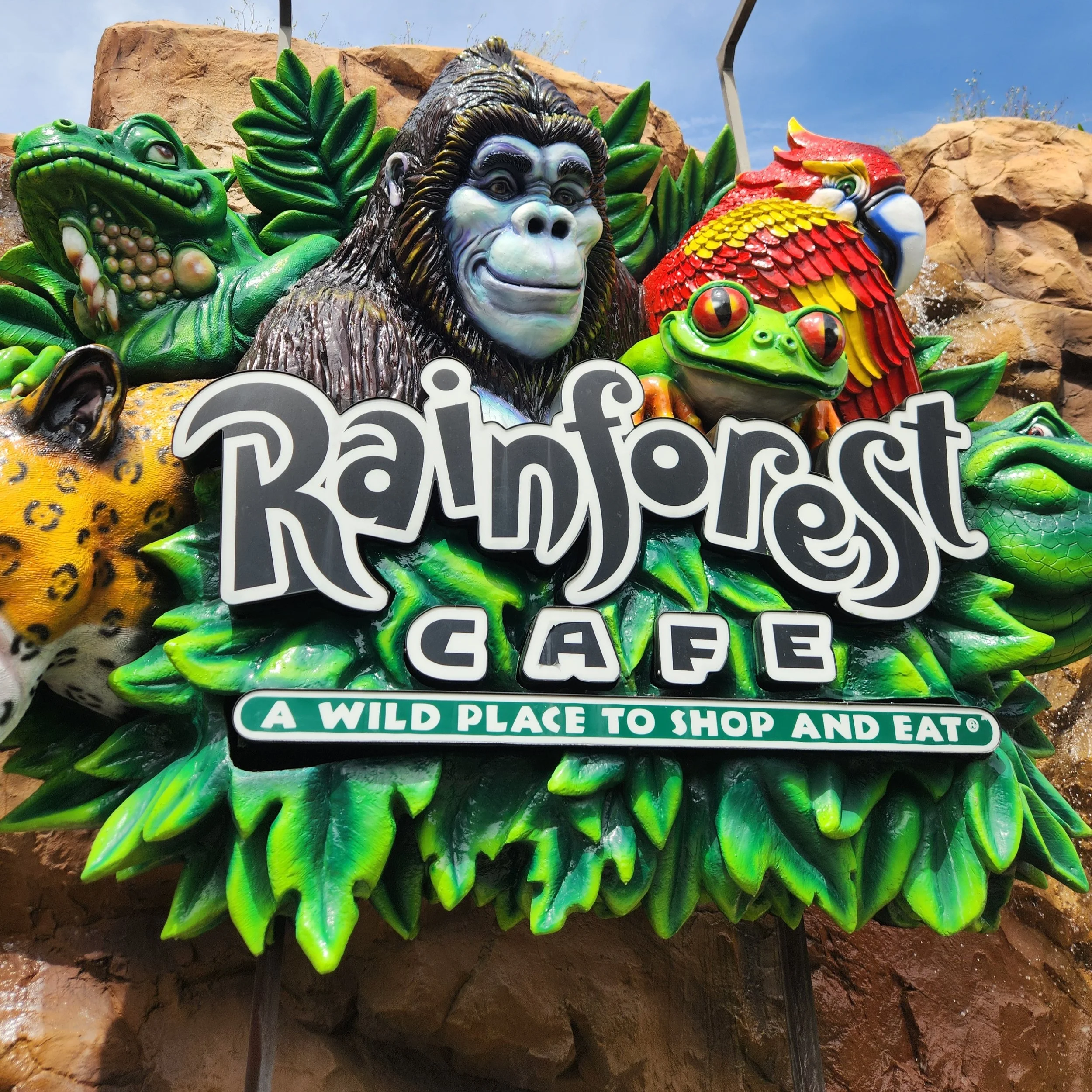 What Is Rainforest Cafe at Disney Springs Like With Young Kids?